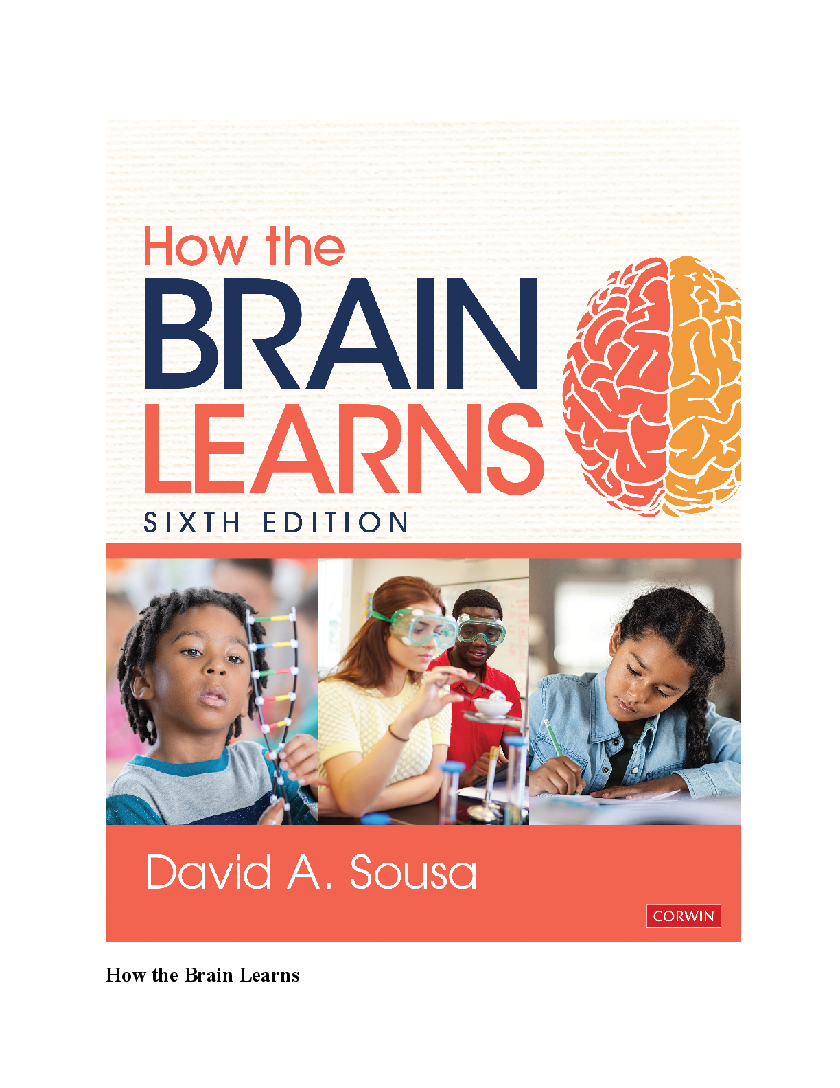 Preview of eBook [PDF] HOW THE BRAIN LEARNS 6th edition By David A. Sousa