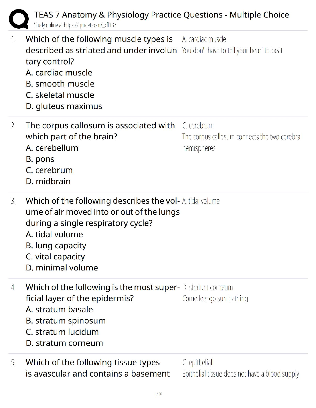 Preview of TEAS 7 Anatomy &amp; Physiology Practice Questions / Multiple Choice Test Bank / 2025 Update  