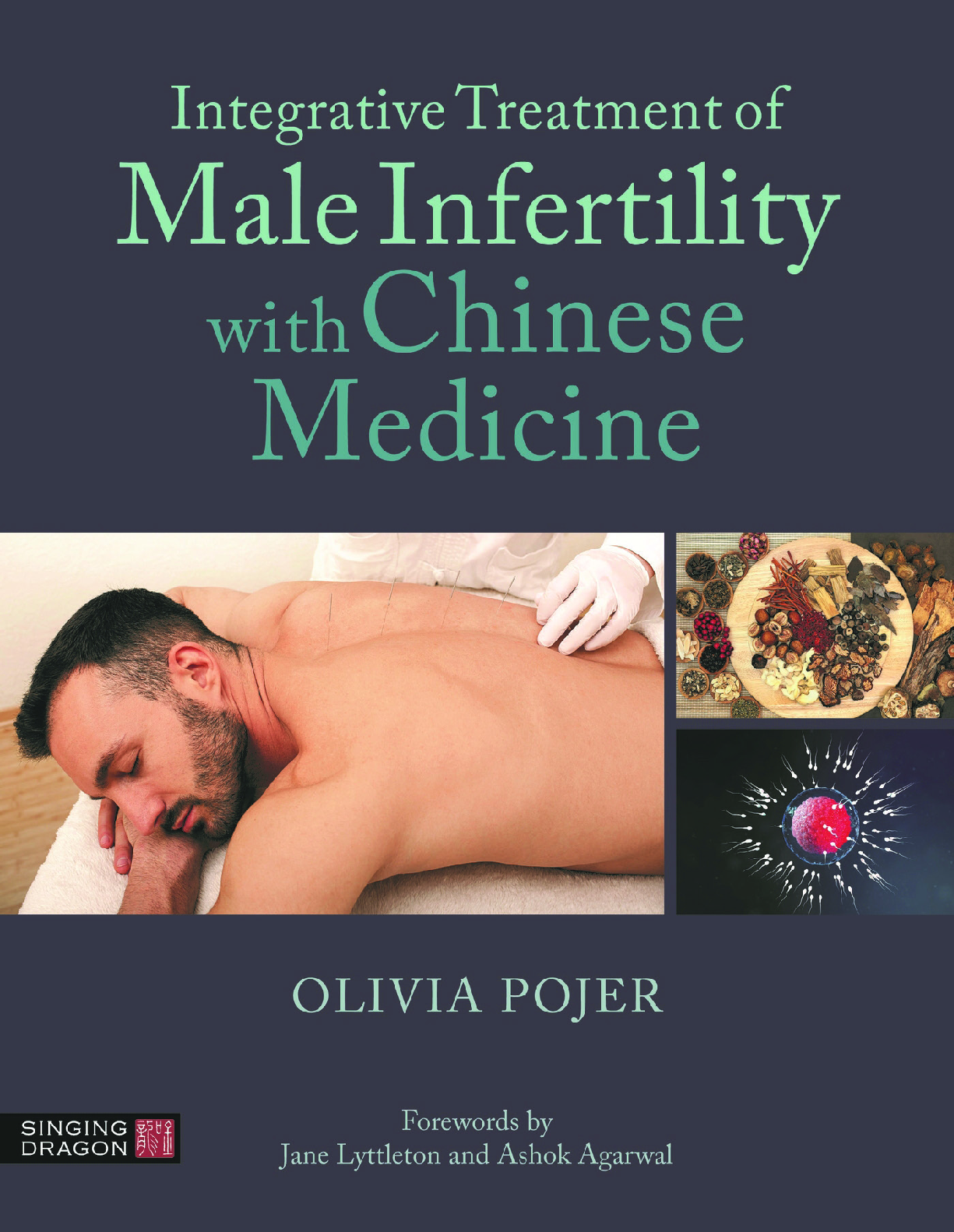 Preview image for PDF(eBook) Integrative Treatment of Male Infertility with Chinese Medicine ,Dr Olivia Pojer,1e