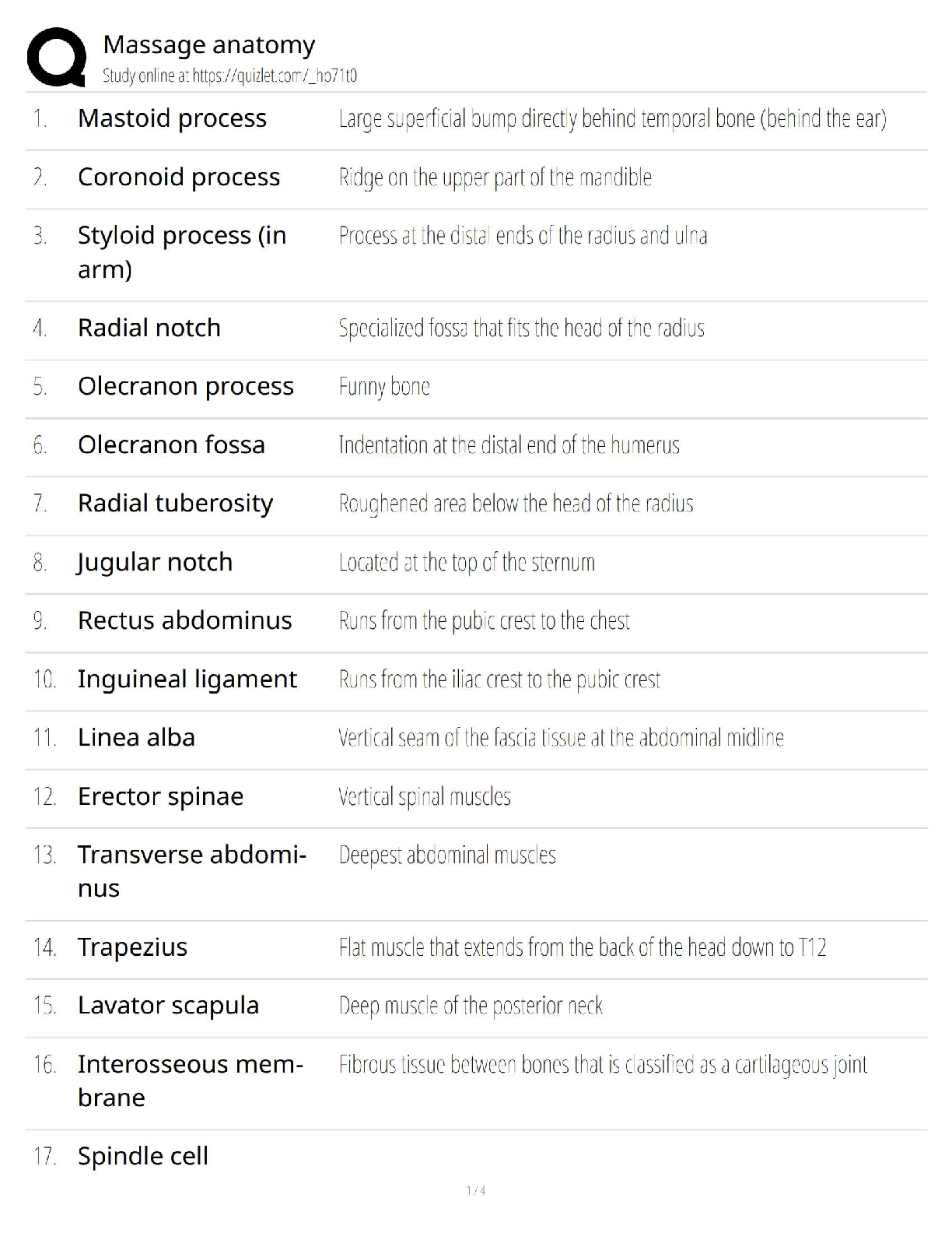 Massage Anatomy / Study Guide & Test Bank / Score 100% / 2025 Update ...