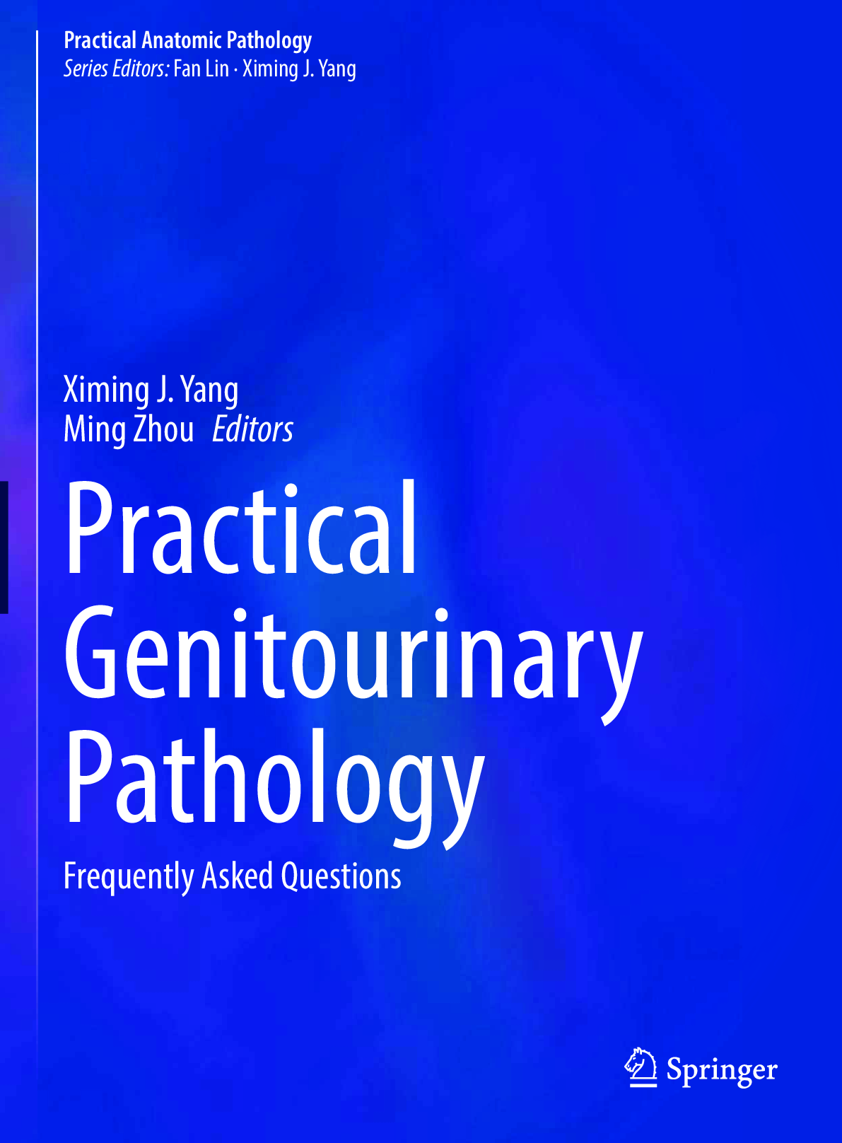 Preview image for PDF(eBook) Practical Genitourinary Pathology, Ximing J. Yang , Ming Zhou,1e