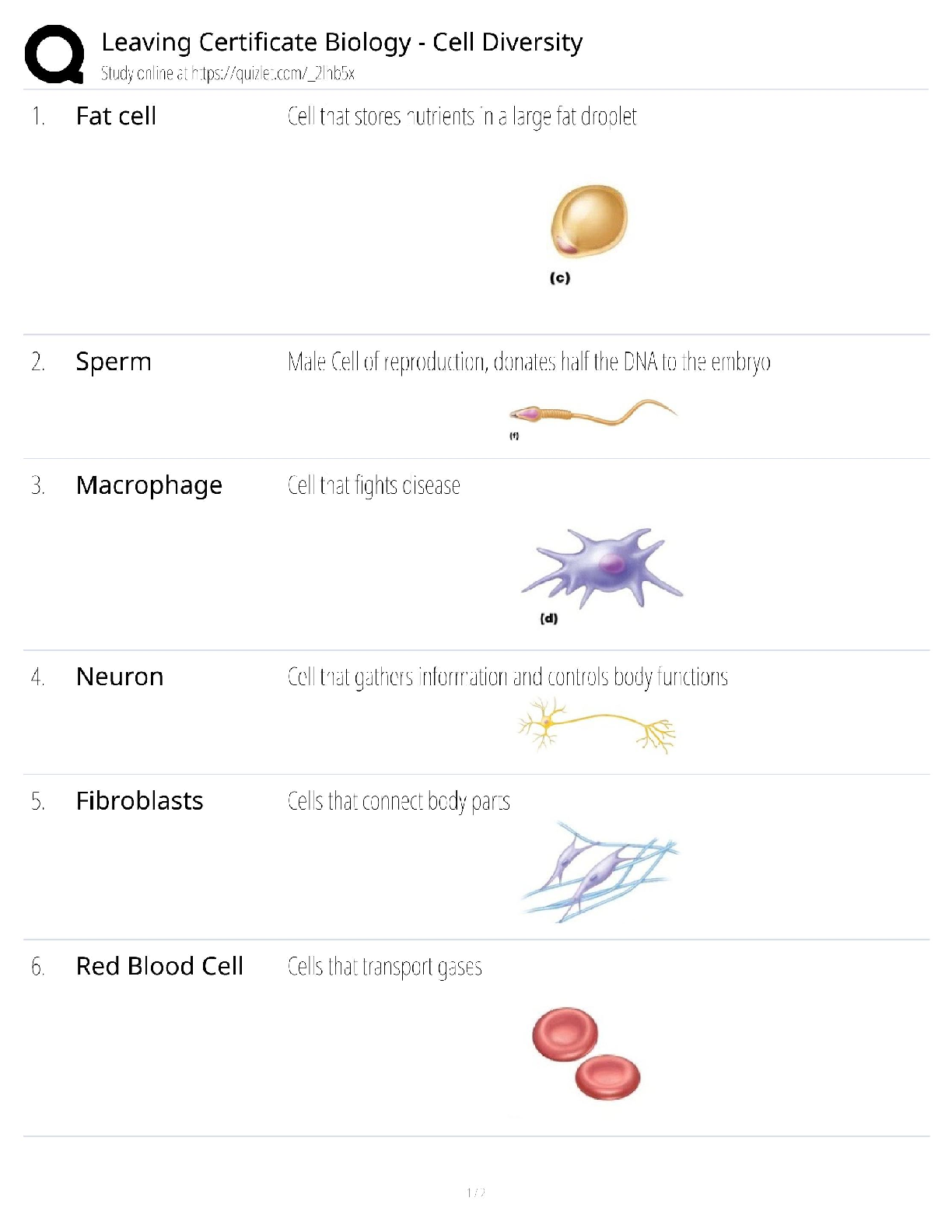 Preview of Leaving Certificate Biology Cell Diversity Test Bank / Irish State Exam / 2025 Update / Sc