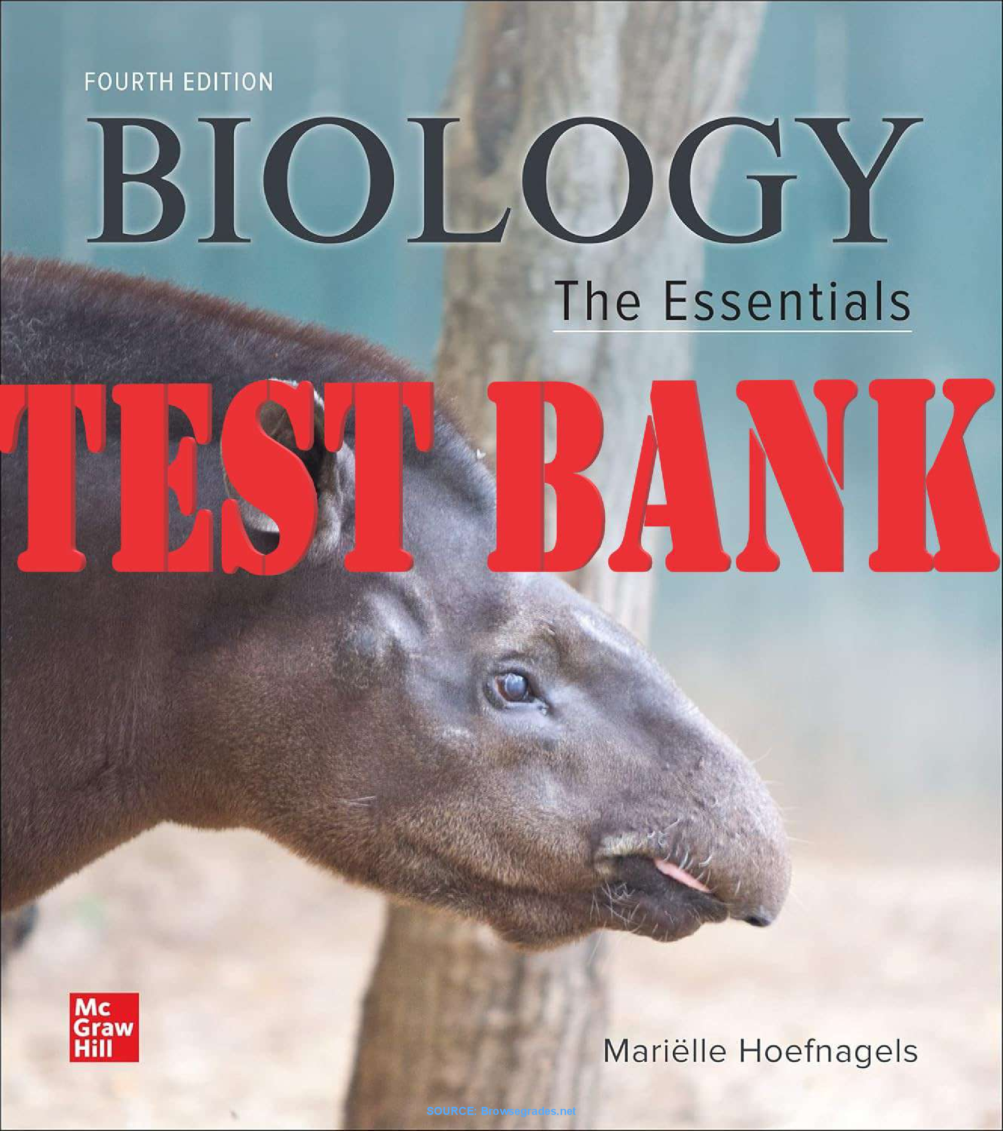 Preview image for Biology The Essentials, 4th Edition by Marielle Hoefnagels TEST BANK
