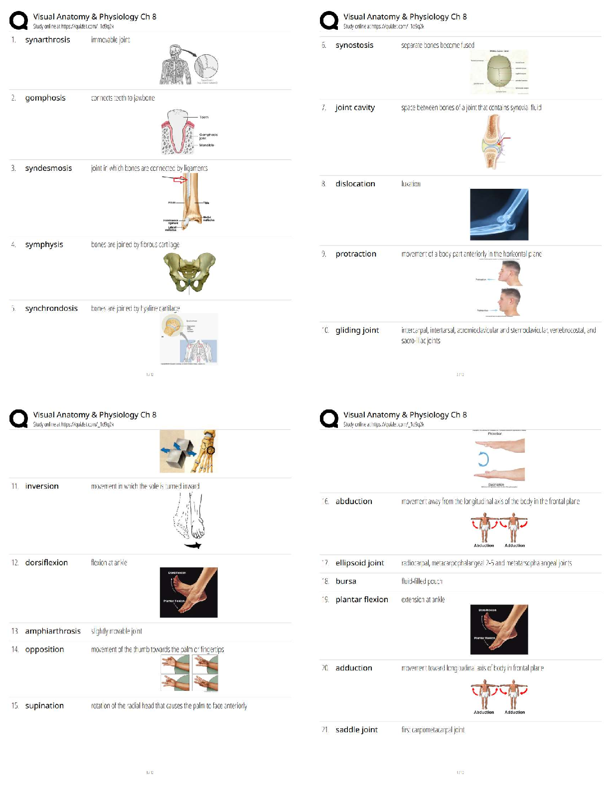Recommended document preview for Visual Anatomy & Physiology / Chapter 8   / New Version / 2025–2026 Updated A&P Study Guide