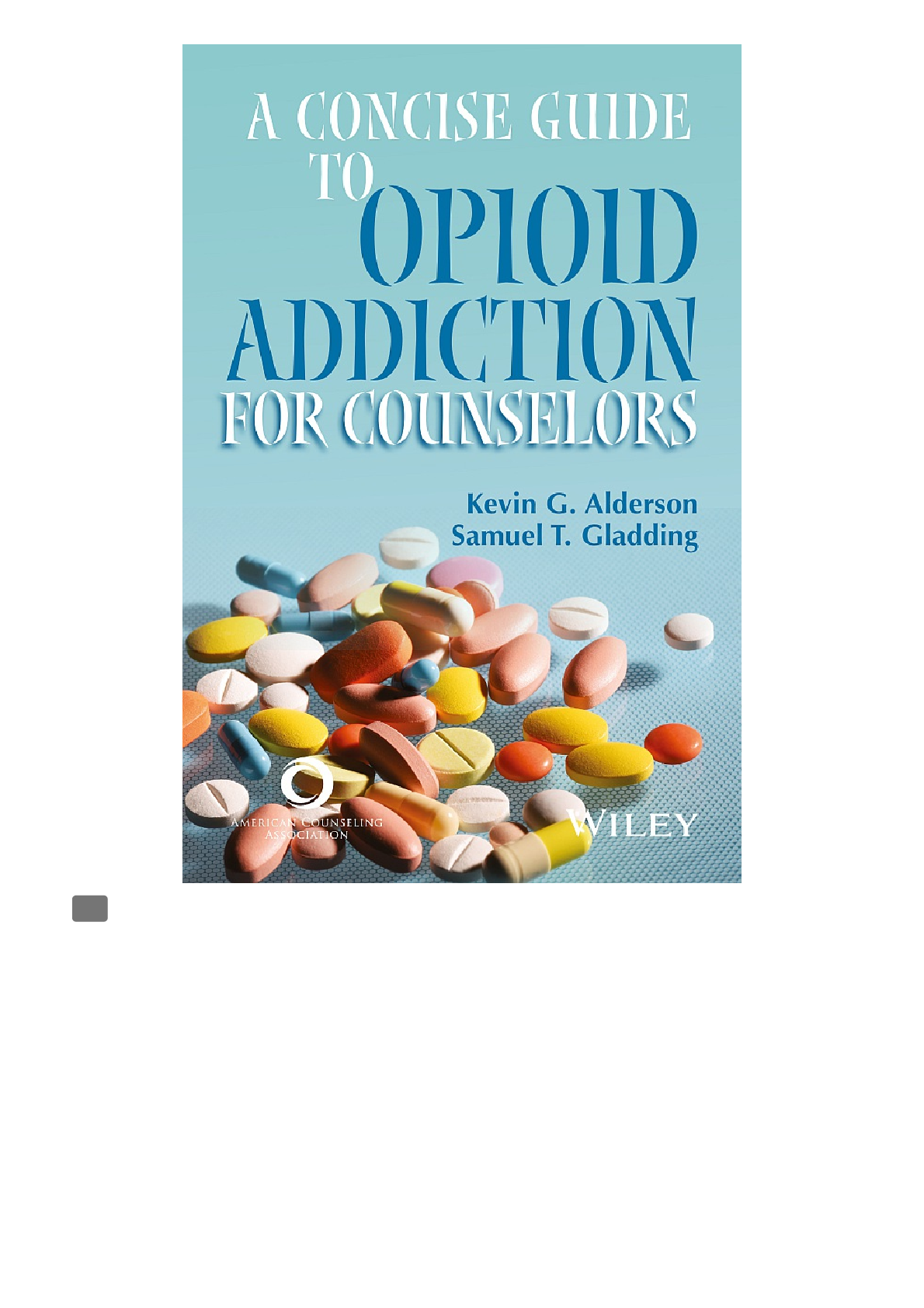 Recommended document preview for eBook [PDF] A concise guide to opioid addiction for counselors By Kevin G. Alderson and Samuel T. Gladding
