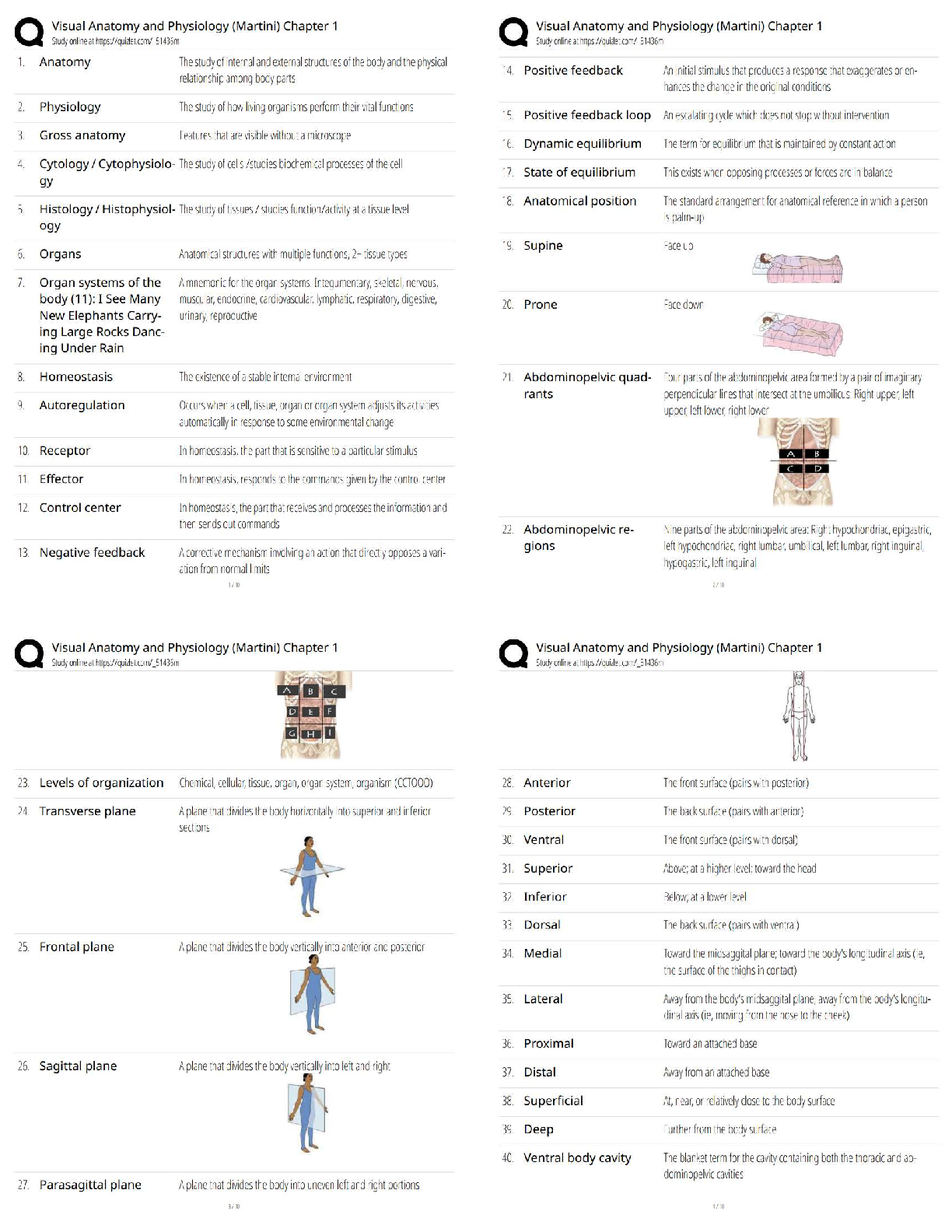 Recommended document preview for Visual Anatomy and Physiology (Martini) / Chapter 1   / New Version / 2025–2026 Updated A&P Study Guide