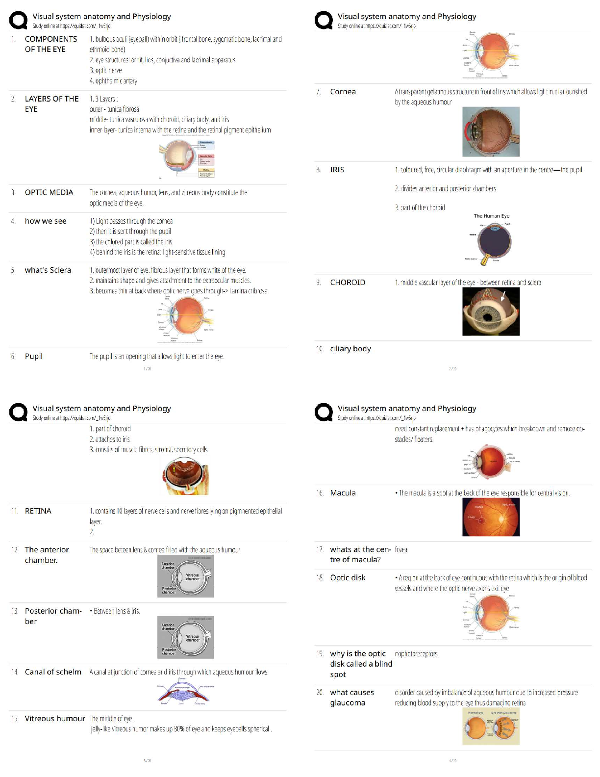 Recommended document preview for Visual System Anatomy and Physiology   / New Version / 2025–2026 Updated A&P Study Guide