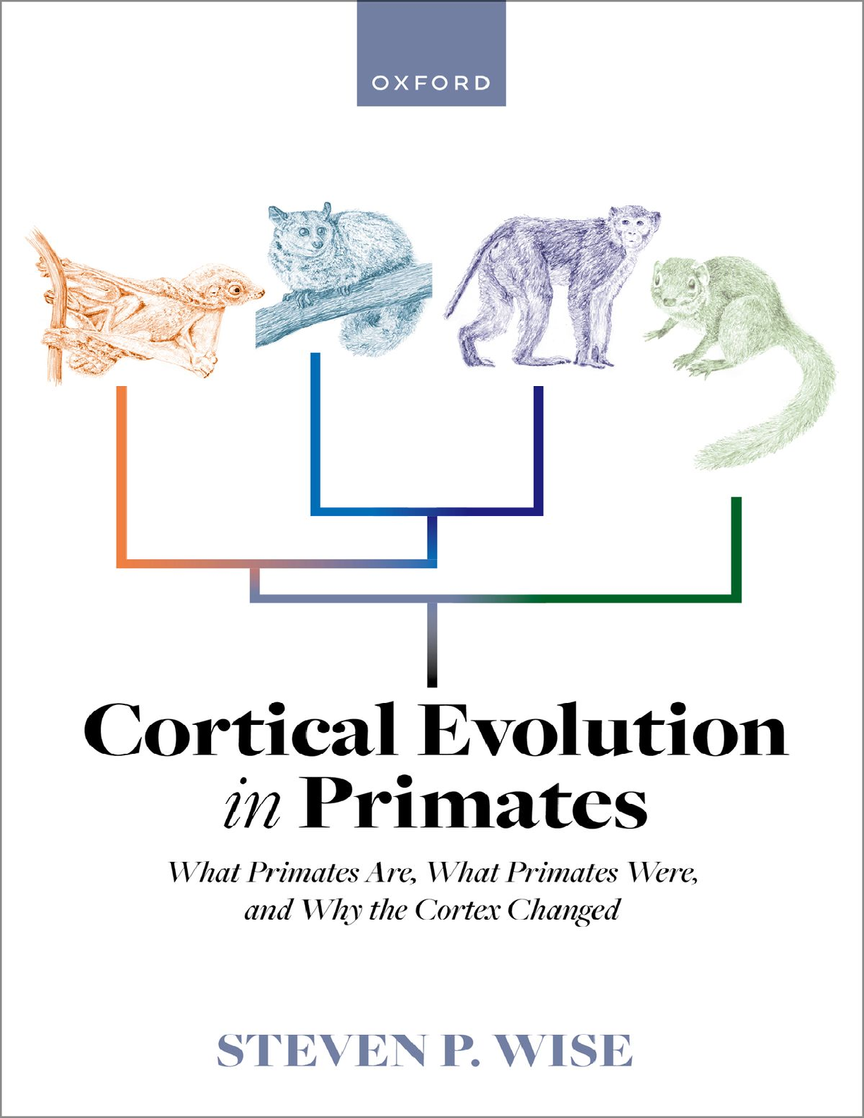 Recommended document preview for eBook PDF Cortical Evolution in Primates 1st Edition By Steven P. Wise