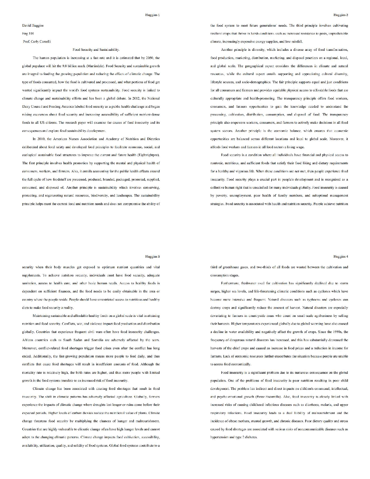 Recommended document preview for ENG 101 Food Security and Sustainability / Essay Guide / Study Notes / 2025 Update  