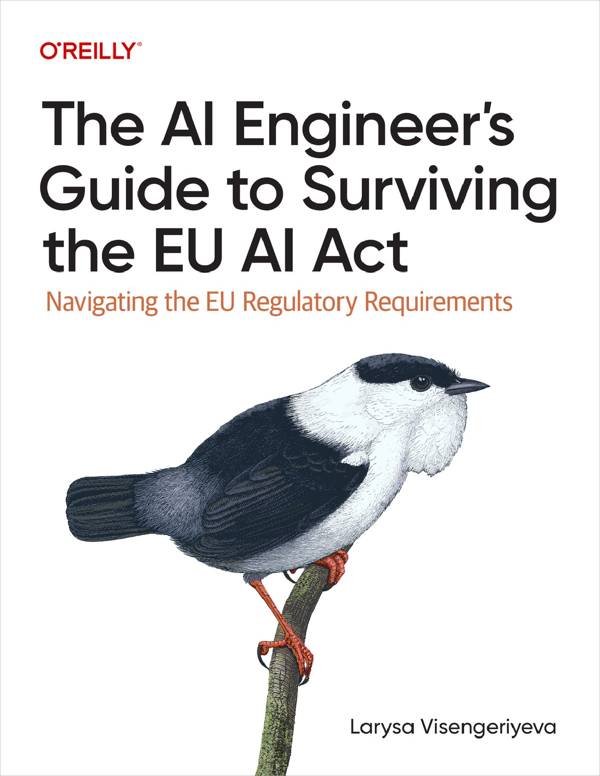 Preview of The AI Engineer's Guide to Surviving the EU AI Act By Larysa Visengeriyeva