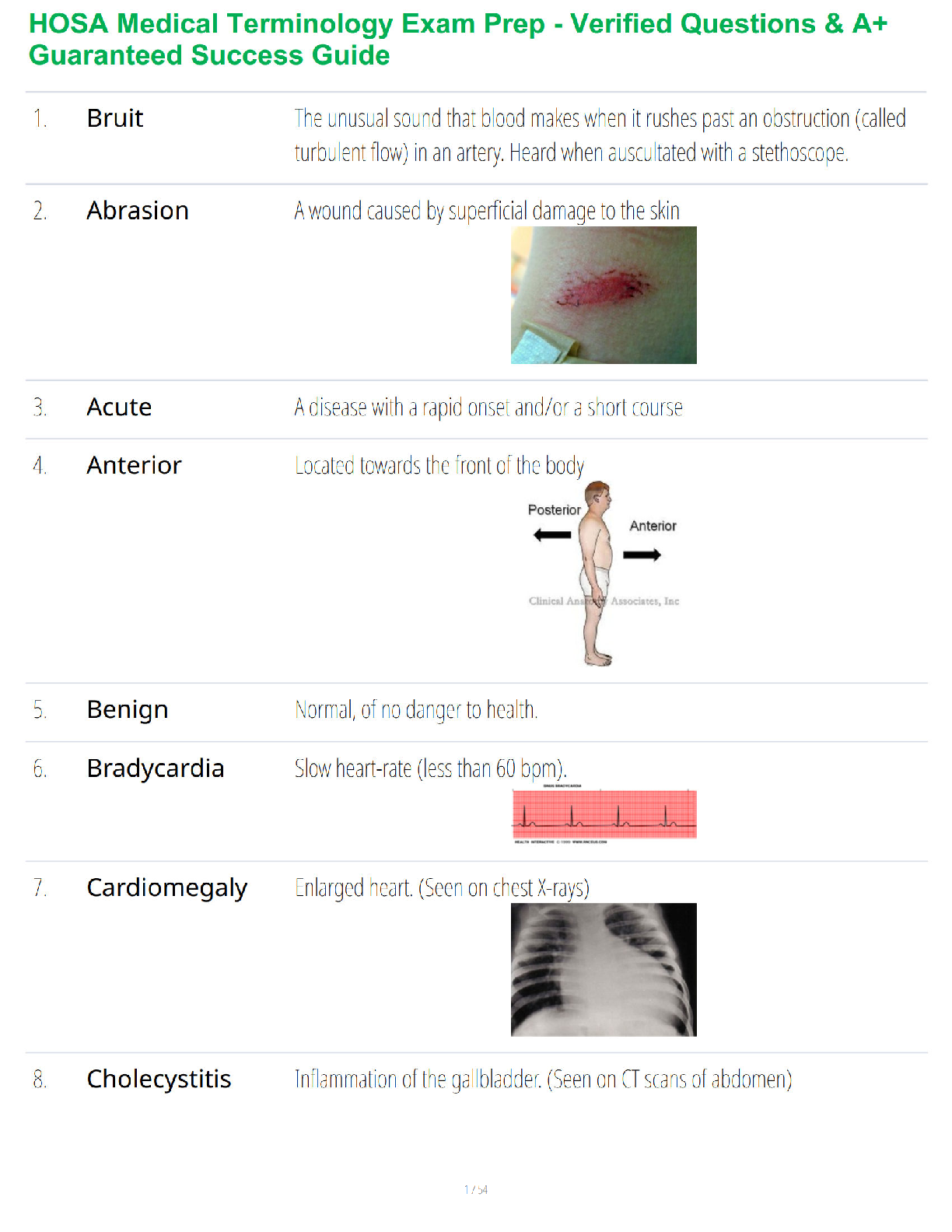 Recommended document preview for HOSA Medical Terminology Exam Prep - Verified Questions & A+ Guaranteed Success Guide