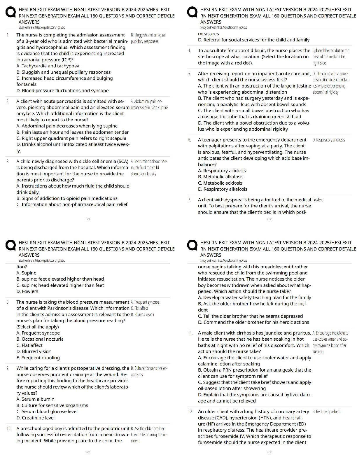 Preview of HESI RN Exit Exam with NGN / Latest Version B 2024-2025 / HESI Exit Prep