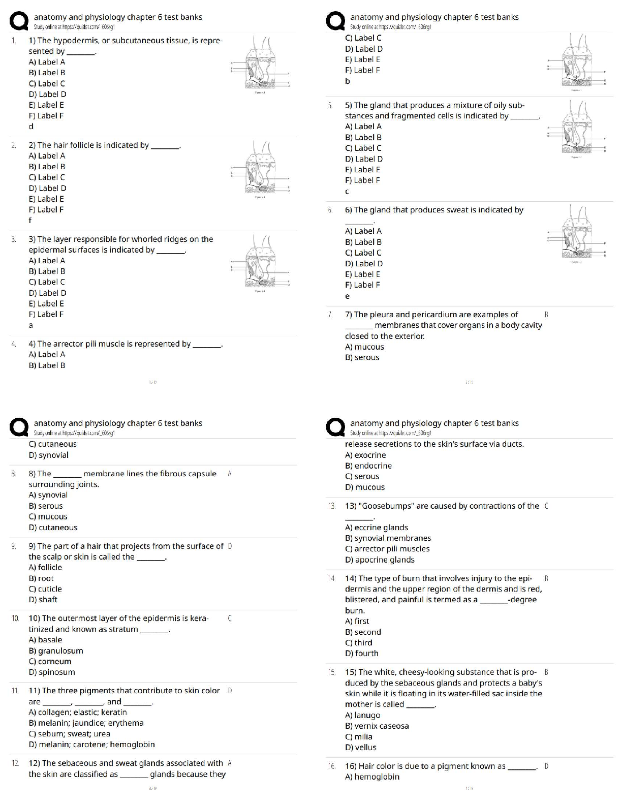 Recommended document preview for Anatomy and Physiology Chapter 6 Test Banks / Chapter 6 Practice Questions / 2025 Update  
