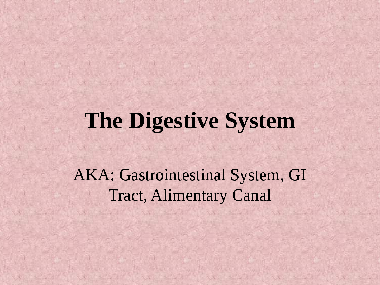 Recommended document preview for The Digestive System AKA: Gastrointestinal System, GI  Tract, Alimentary Canal