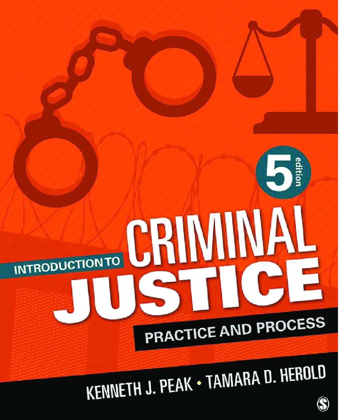 Recommended document preview for eBook [PDF] Introduction to Criminal Justice Practice and Process 5th Edition By Kenneth J_ Peak
