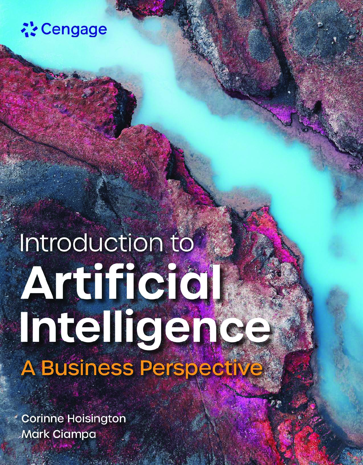 Recommended document preview for eBook [PDF] Introduction to Artificial Intelligence A Business Perspective, 1st Edition By Corinne Hoisington, Mark Ciampa