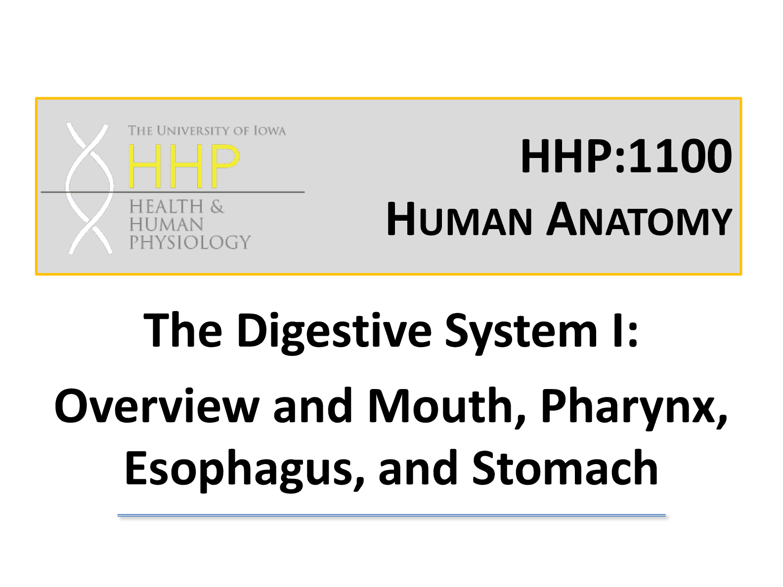 Preview of The Digestive System I: Overview and Mouth, Pharynx,  Esophagus, and Stomach