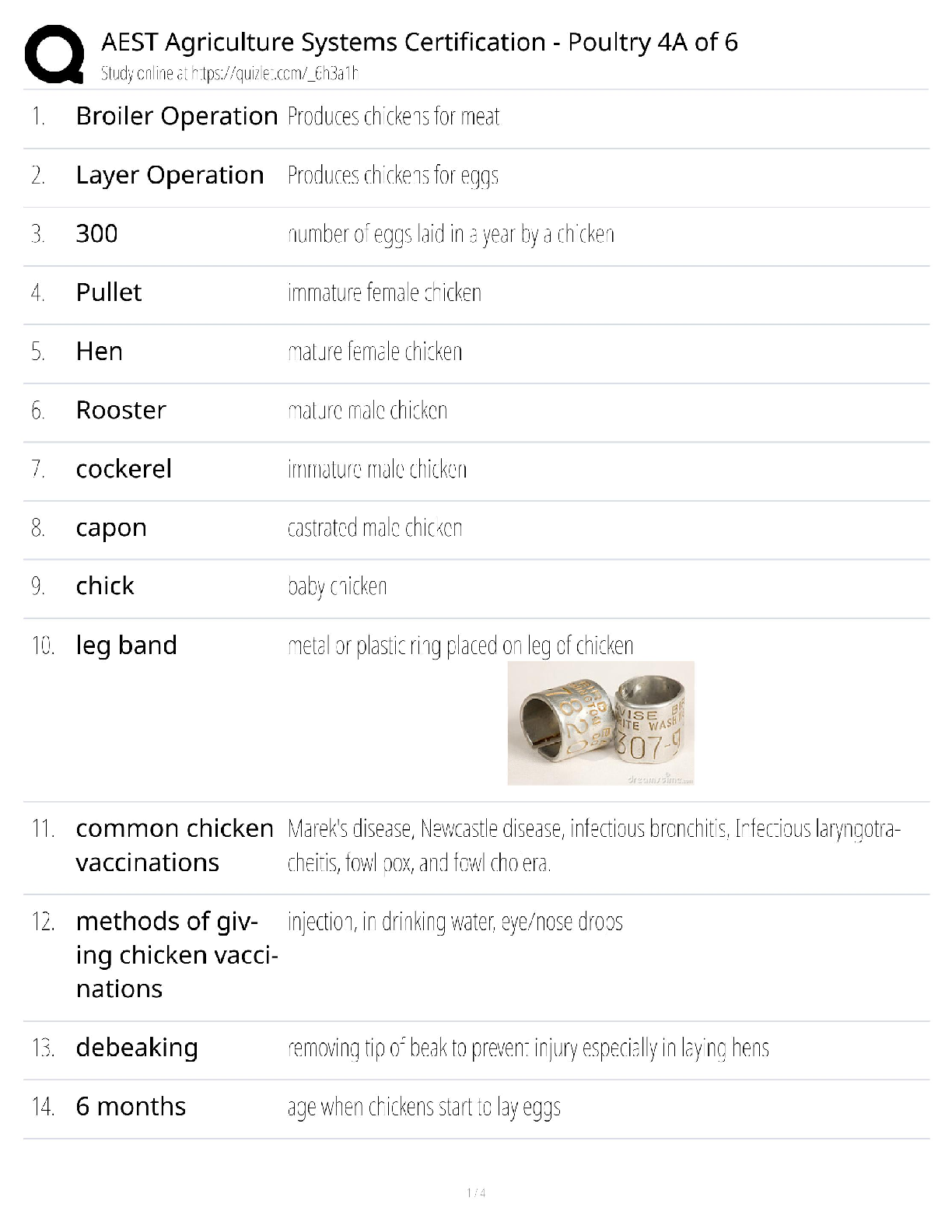 Recommended document preview for AEST Agriculture Certification / Score 100% / New Version 2025 Update / Poultry 4A of 6 Study Guide