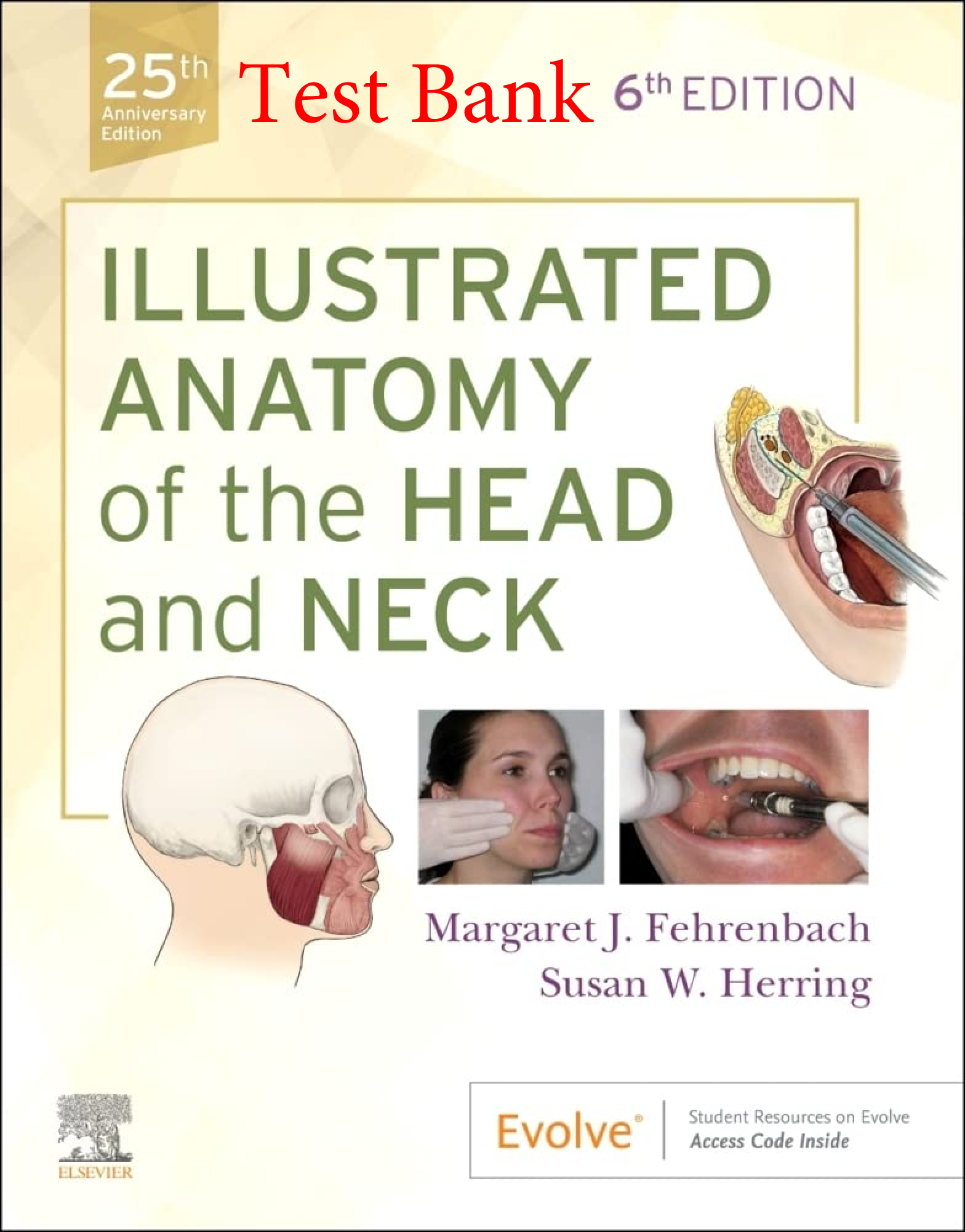 Recommended document preview for Test Bank Illustrated Anatomy of the Head and Neck 6th Edition By Margaret Fehrenbach, Susan Herring