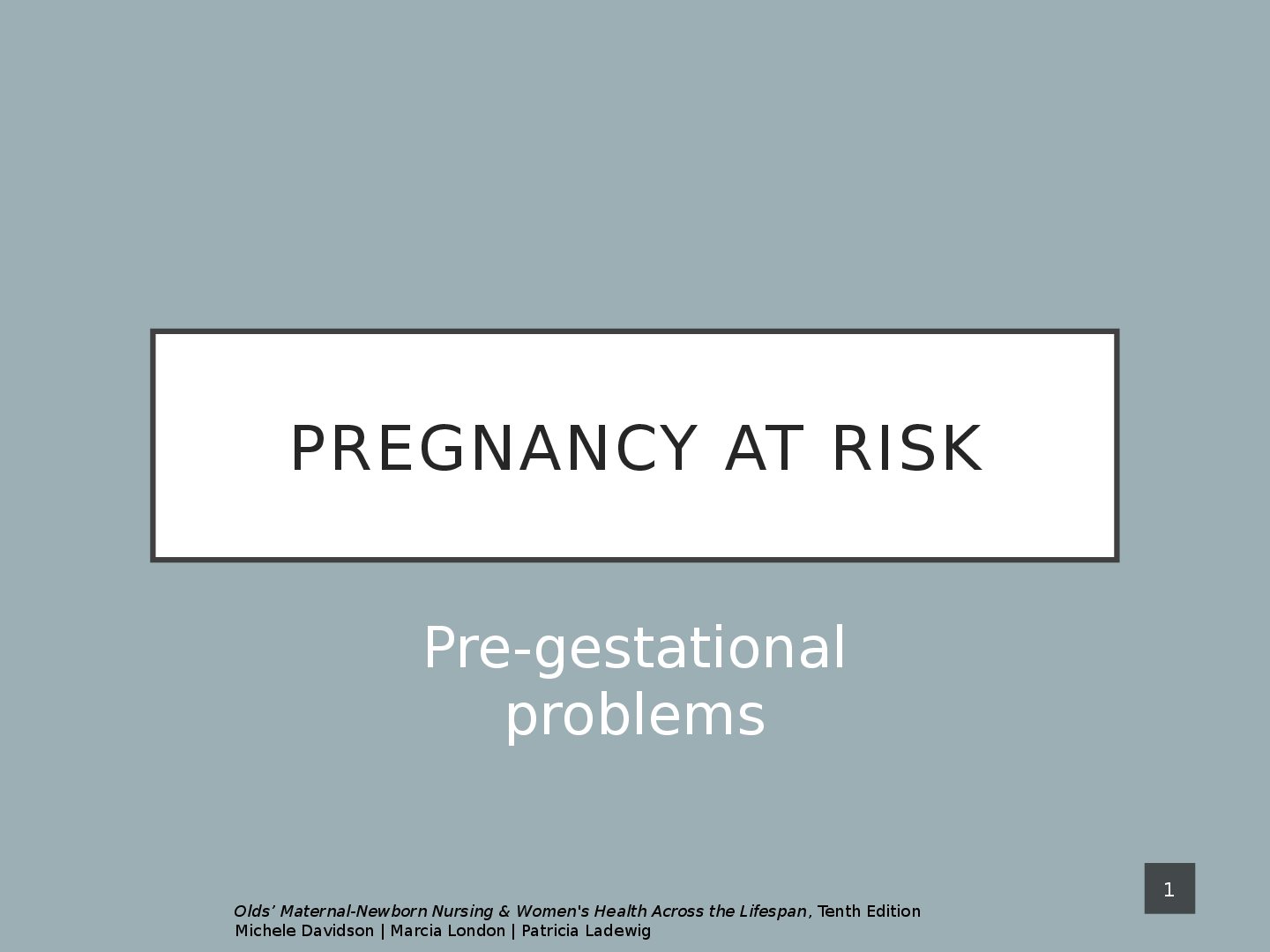 Preview of PREGNANCY AT RISK Pre-gestational  problems