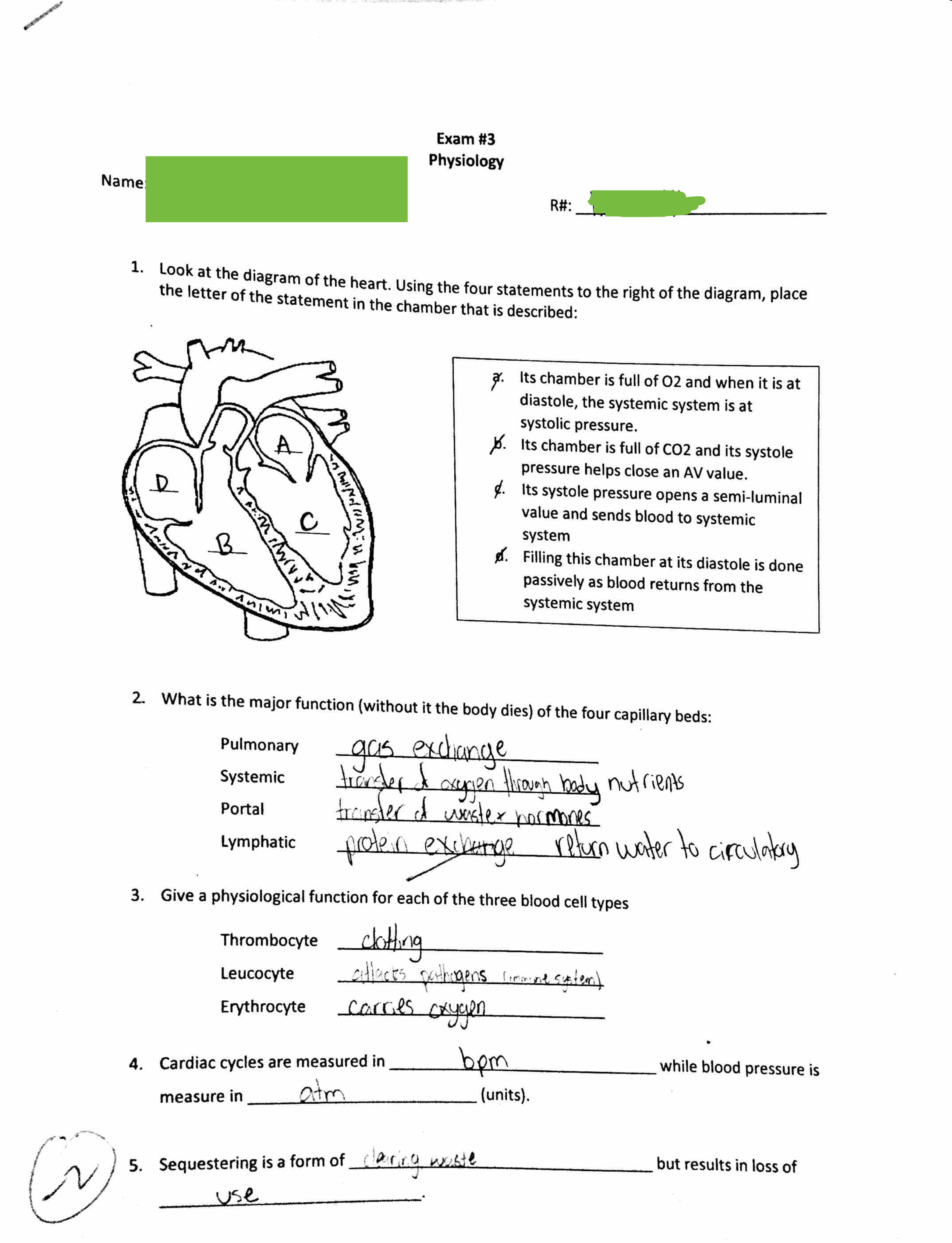 Preview of ANSC 2306 Principles of Physiology of Domestic Animals EXAM 4