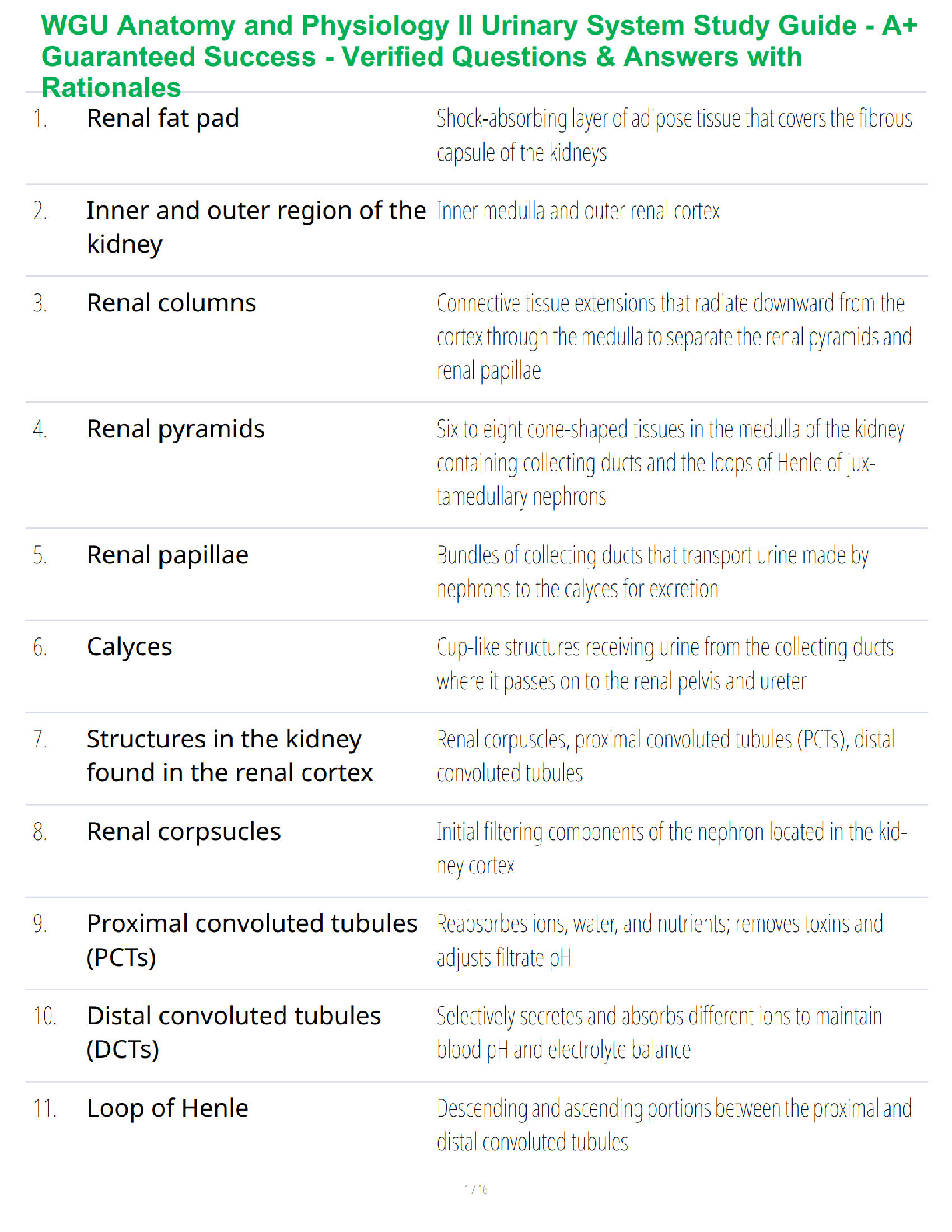 WGU Anatomy and Physiology II Urinary System Study Guide - A+ Guaranteed Success - Verified Questions & Answers with Rationales