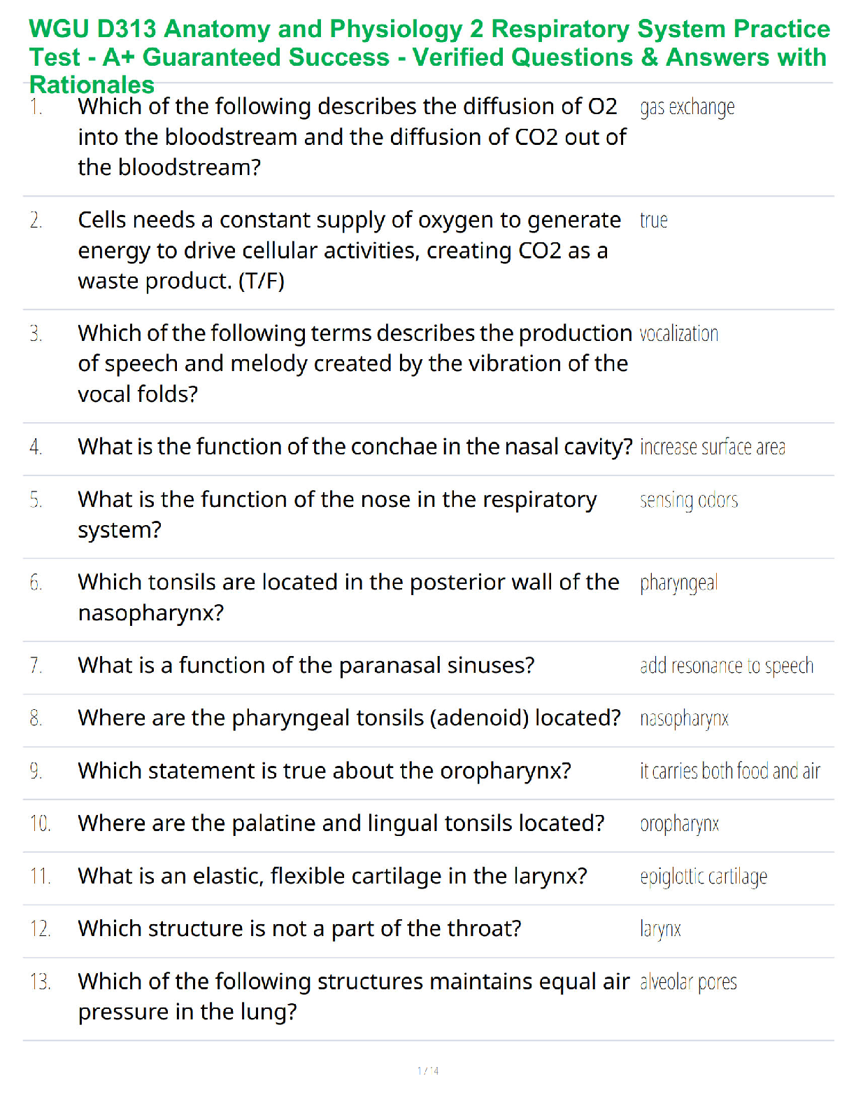 WGU D313 Anatomy and Physiology 2 Respiratory System Practice Test - A+ Guaranteed Success - Verified Questions & Answers with Rationales