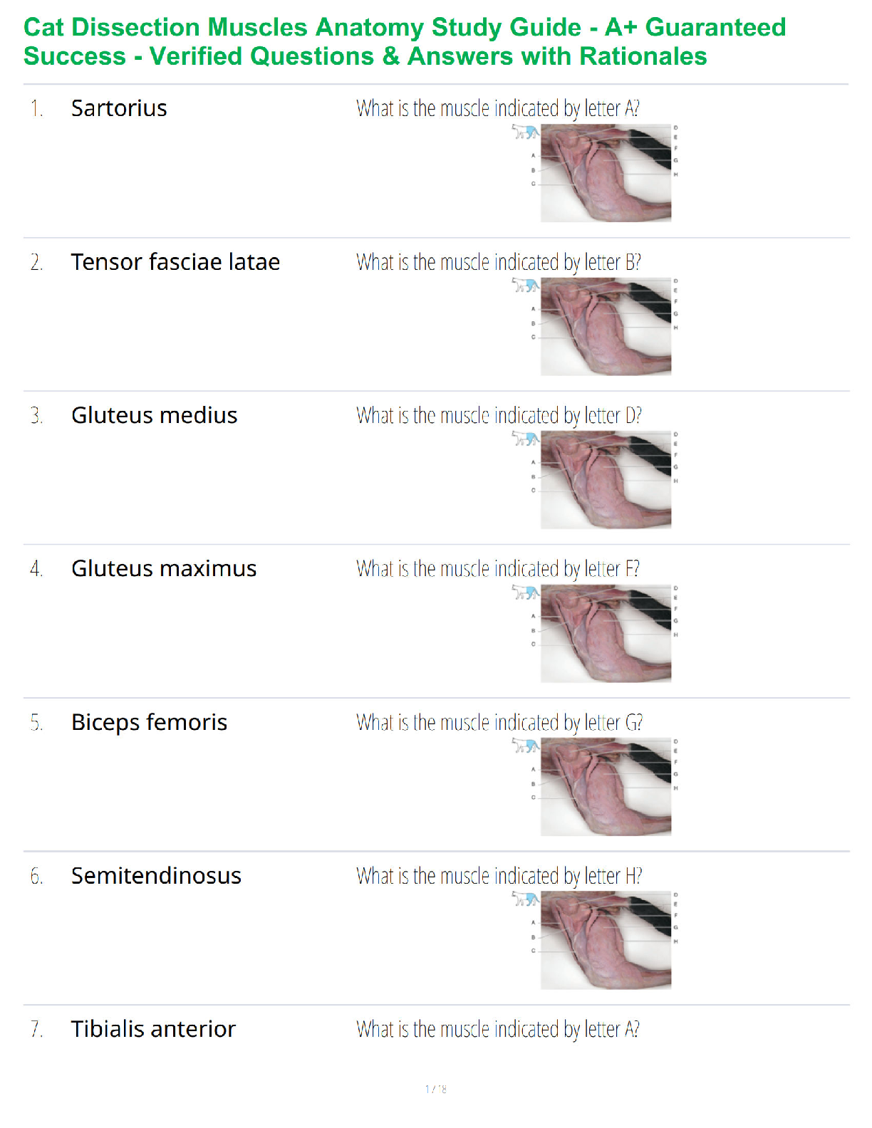 Recommended document preview for Cat Dissection Muscles Anatomy Study Guide - A+ Guaranteed Success - Verified Questions & Answers with Rationales