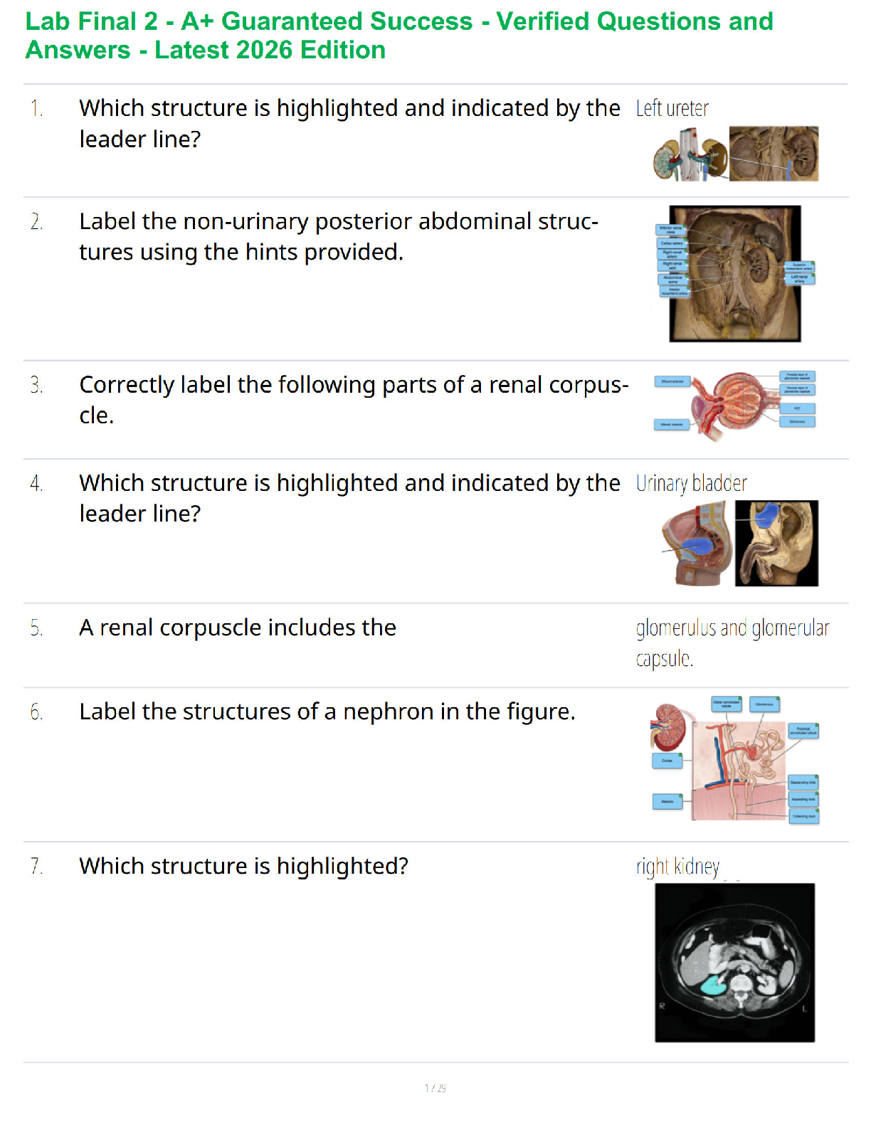 Recommended document preview for Lab Final 2 - A+ Guaranteed Success - Verified Questions and Answers - Latest 2026 Edition