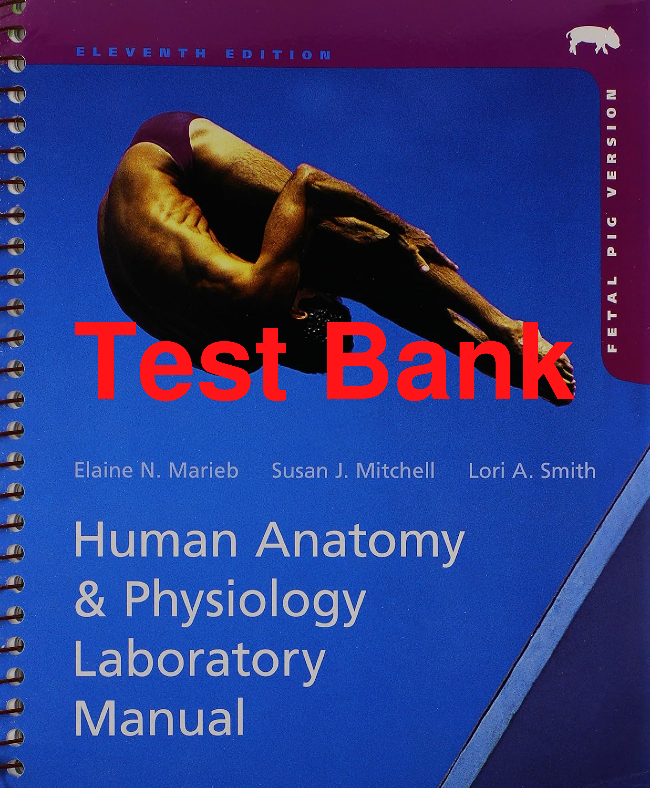 Preview of Test Bank Human Anatomy & Physiology Laboratory Manual Fetal 11th Edition By Elaine Marieb