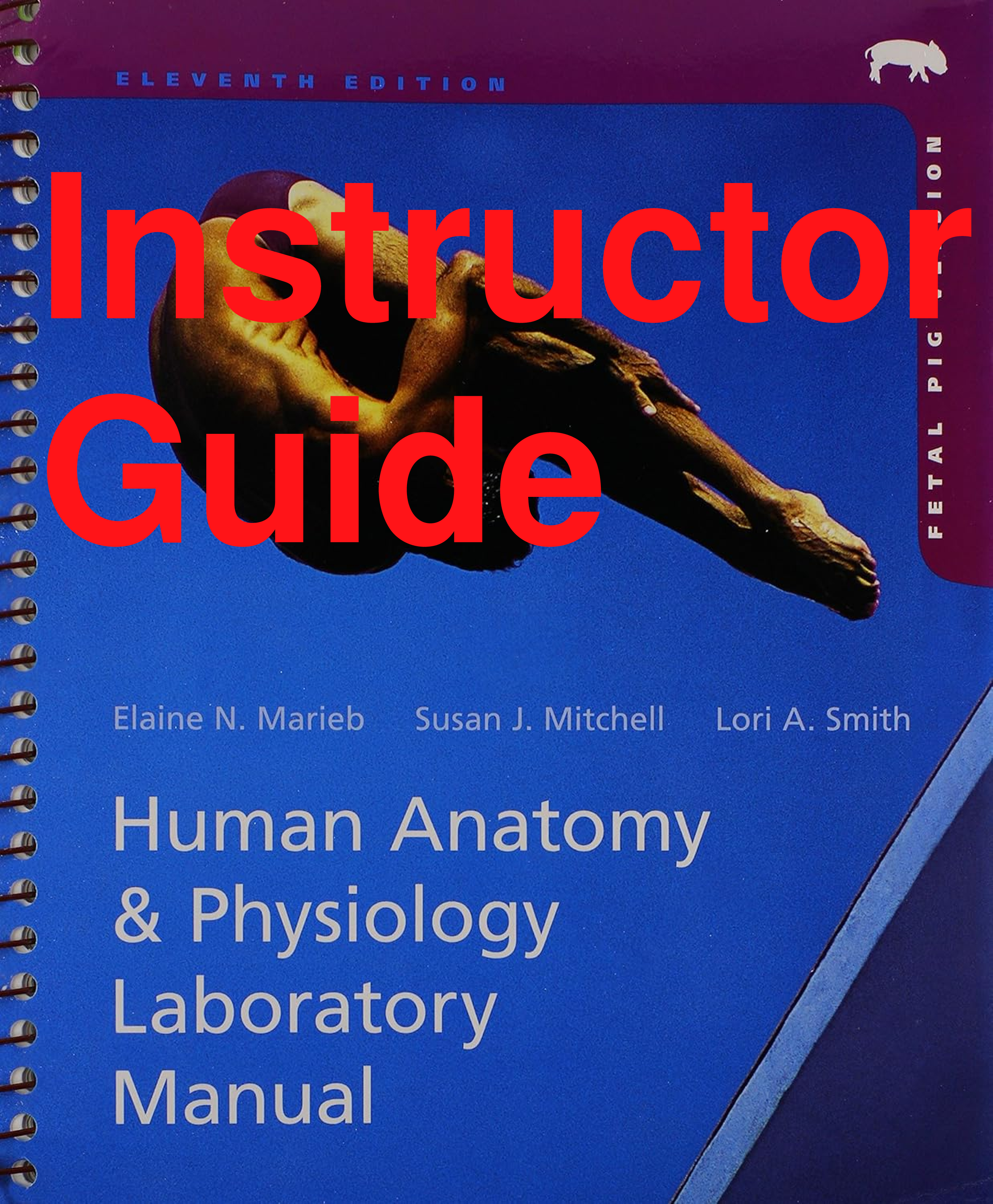 Recommended document preview for Instructor Guide Human Anatomy & Physiology Laboratory Manual 11th Edition By Elaine Marieb, Susan Mitchell, Lori Smith