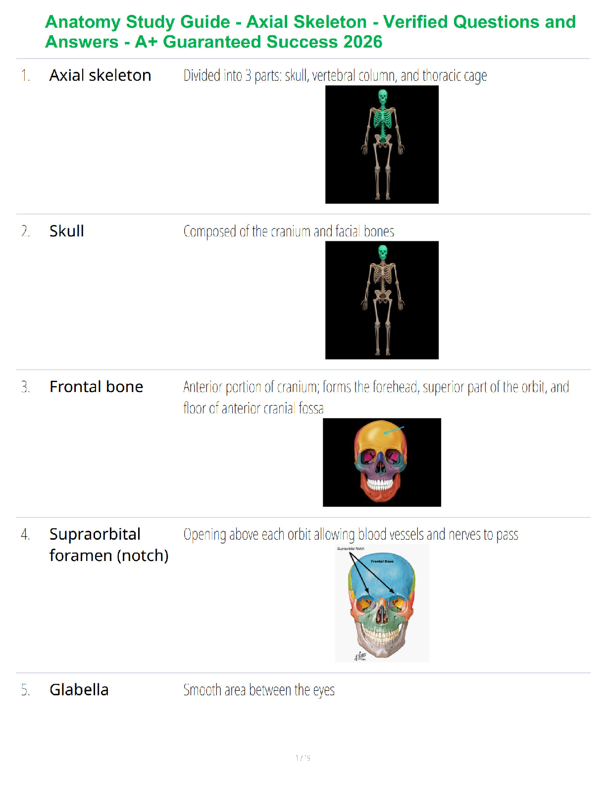 Recommended document preview for Anatomy Study Guide - Axial Skeleton - Verified Questions and Answers - A+ Guaranteed Success 2026