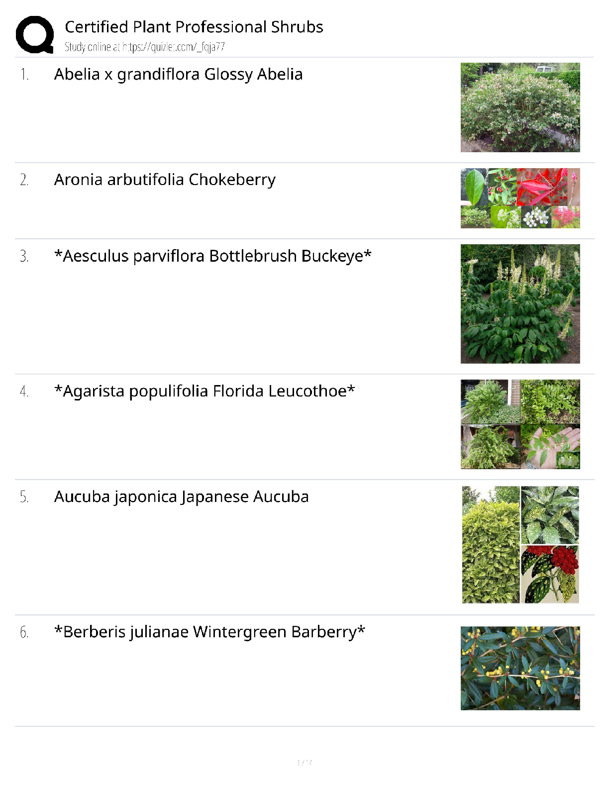 Recommended document preview for Certified Plant Professional Shrubs / Score 100% / New Version / 2025 Update