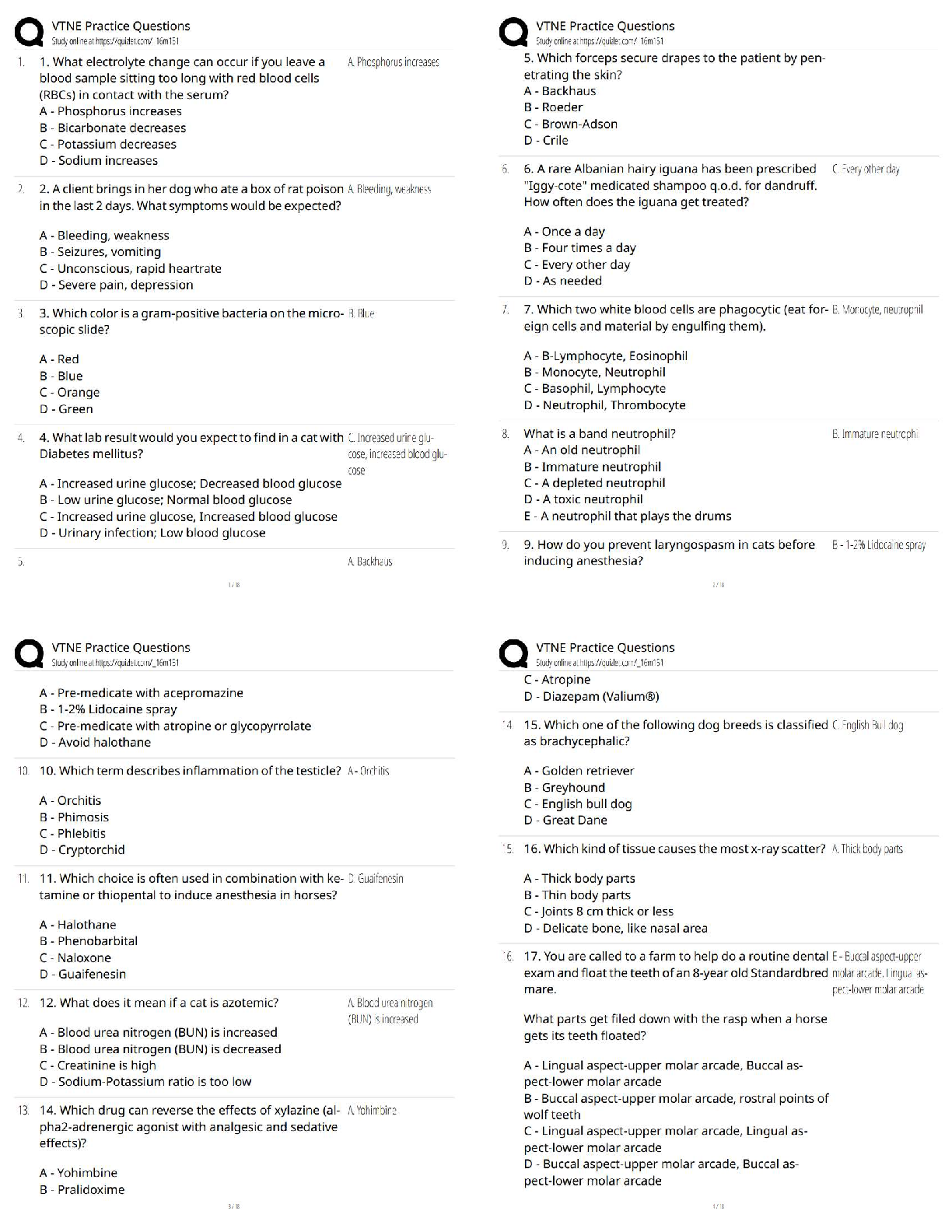 Recommended document preview for VTNE Practice Questions / VTNE Exam Prep Test Bank / Score 100% New Version 2026 Update