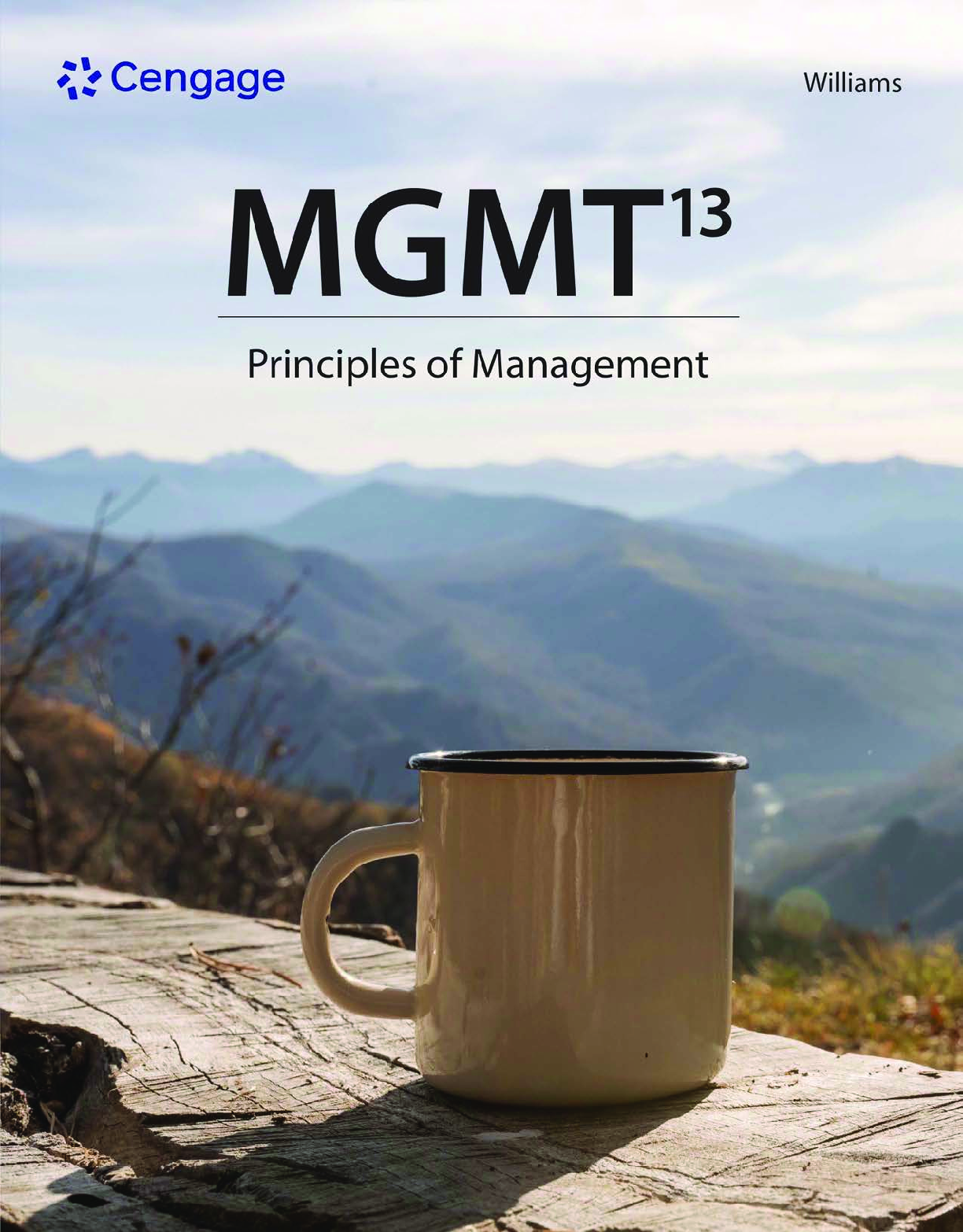 Recommended document preview for eBook [PDF] MGMT 13 Principles of Management By Chuck Williams