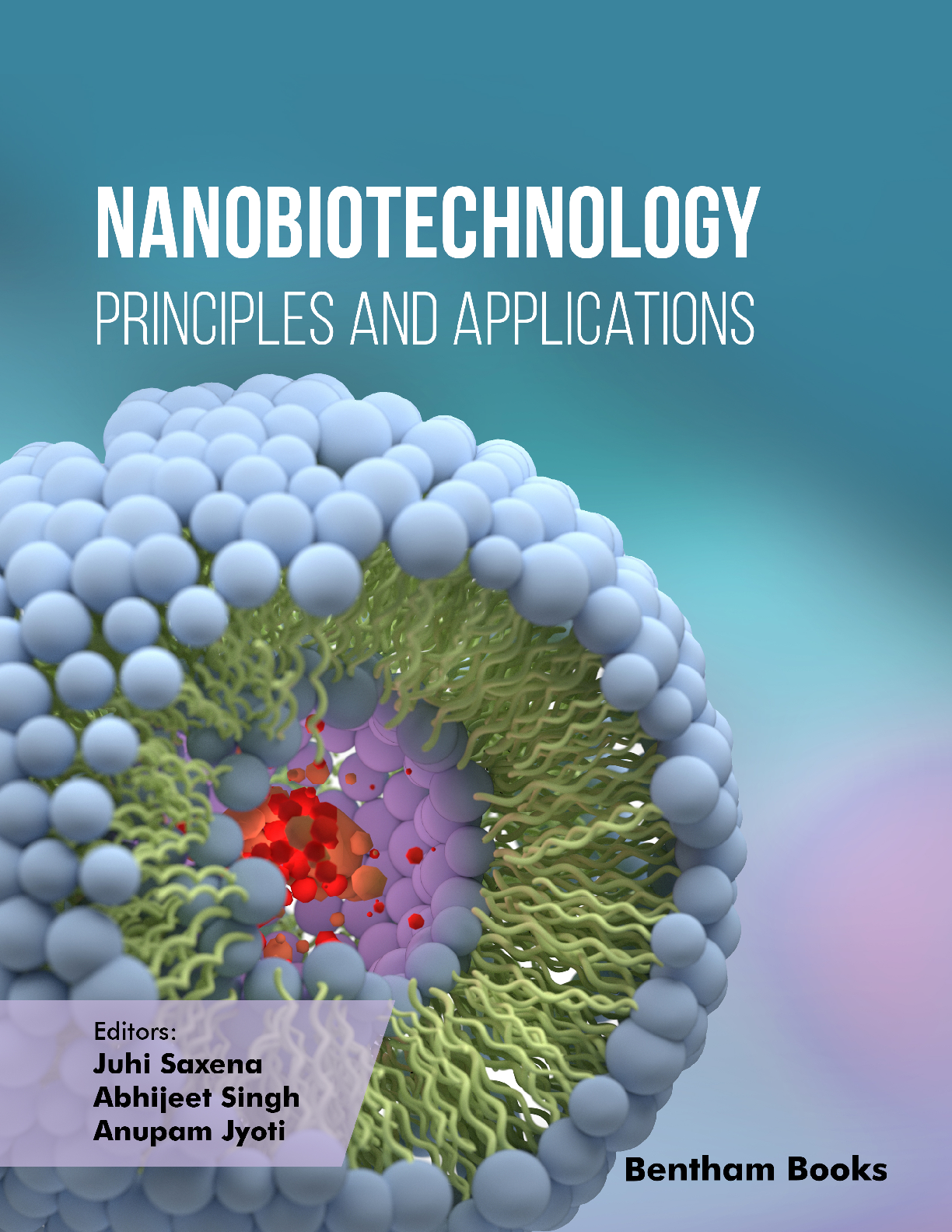 Recommended document preview for Nanobiotechnology Principles and Applications 1st Edition By Juhi Saxena, Abhijeet Singh, Anupam Jyoti PDF ebook