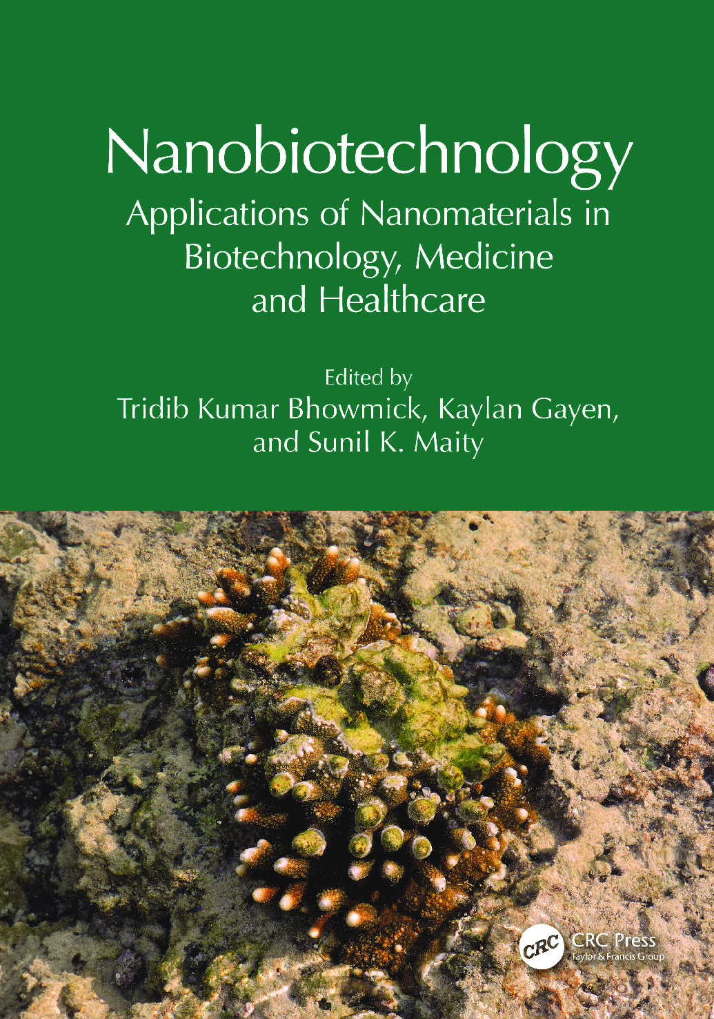 Recommended document preview for Nanobiotechnology Applications of Nanomaterials in Biotechnology Medicine and Healthcare 1st Edition By Kumar Bhowmick, Gayen, Maity PDF ebook