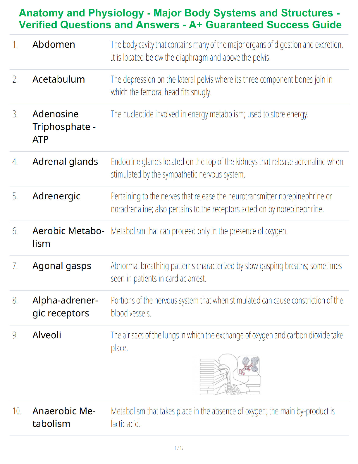 Anatomy and Physiology - Major Body Systems and Structures - Verified Questions and Answers - A+ Guaranteed Success Guide