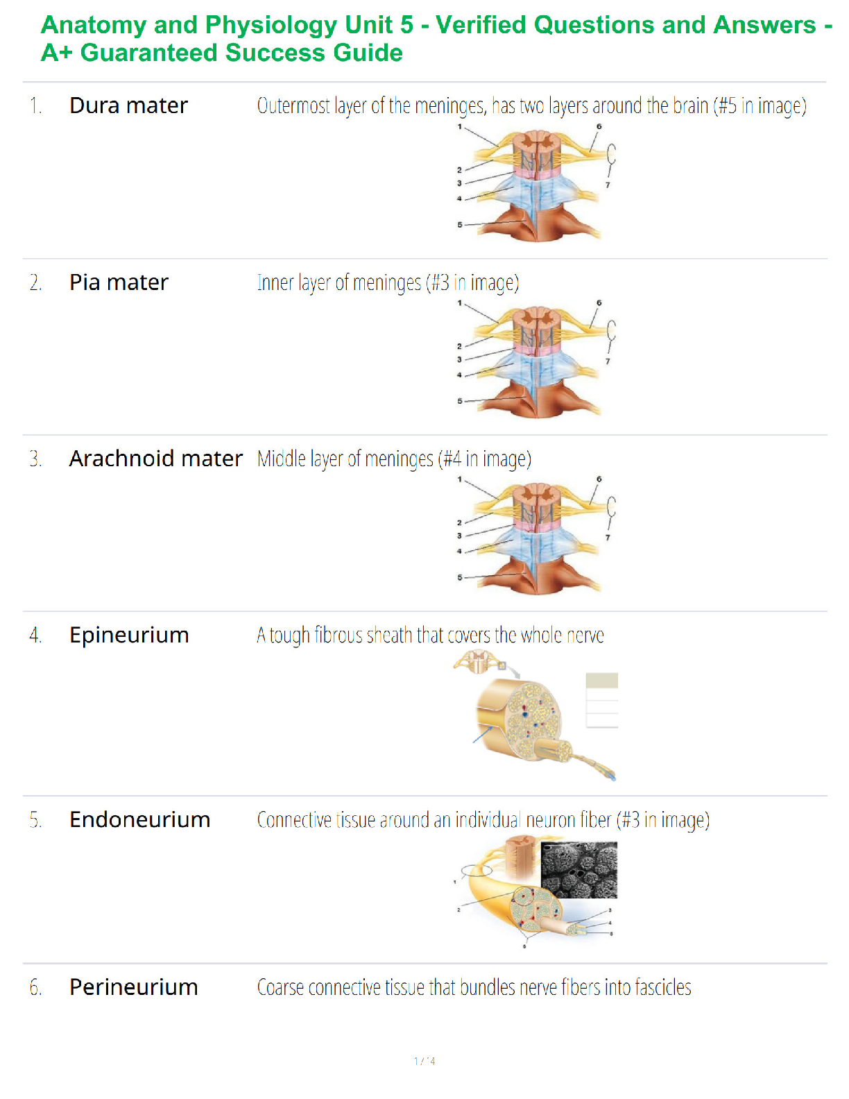 Recommended document preview for Anatomy and Physiology Unit 5 - Verified Questions and Answers - A+ Guaranteed Success Guide