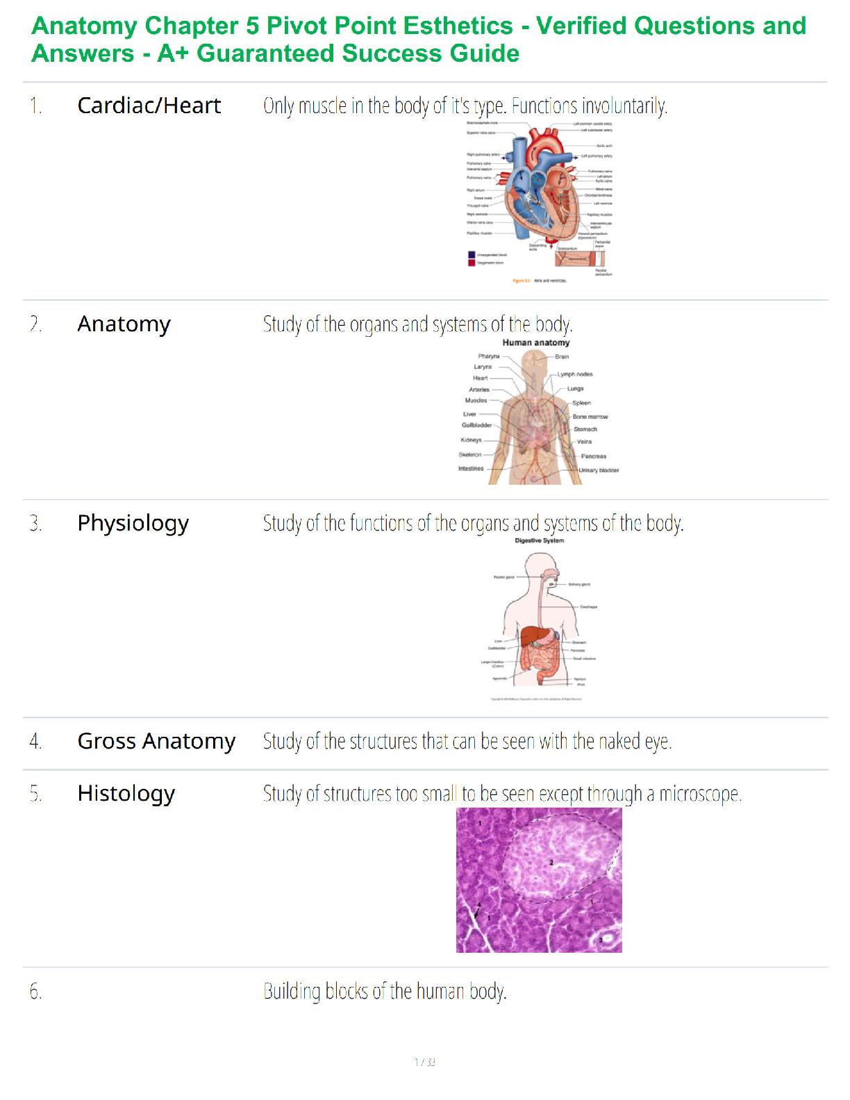 Preview of Anatomy Chapter 5 Pivot Point Esthetics - Verified Questions and Answers - A+ Guaranteed S