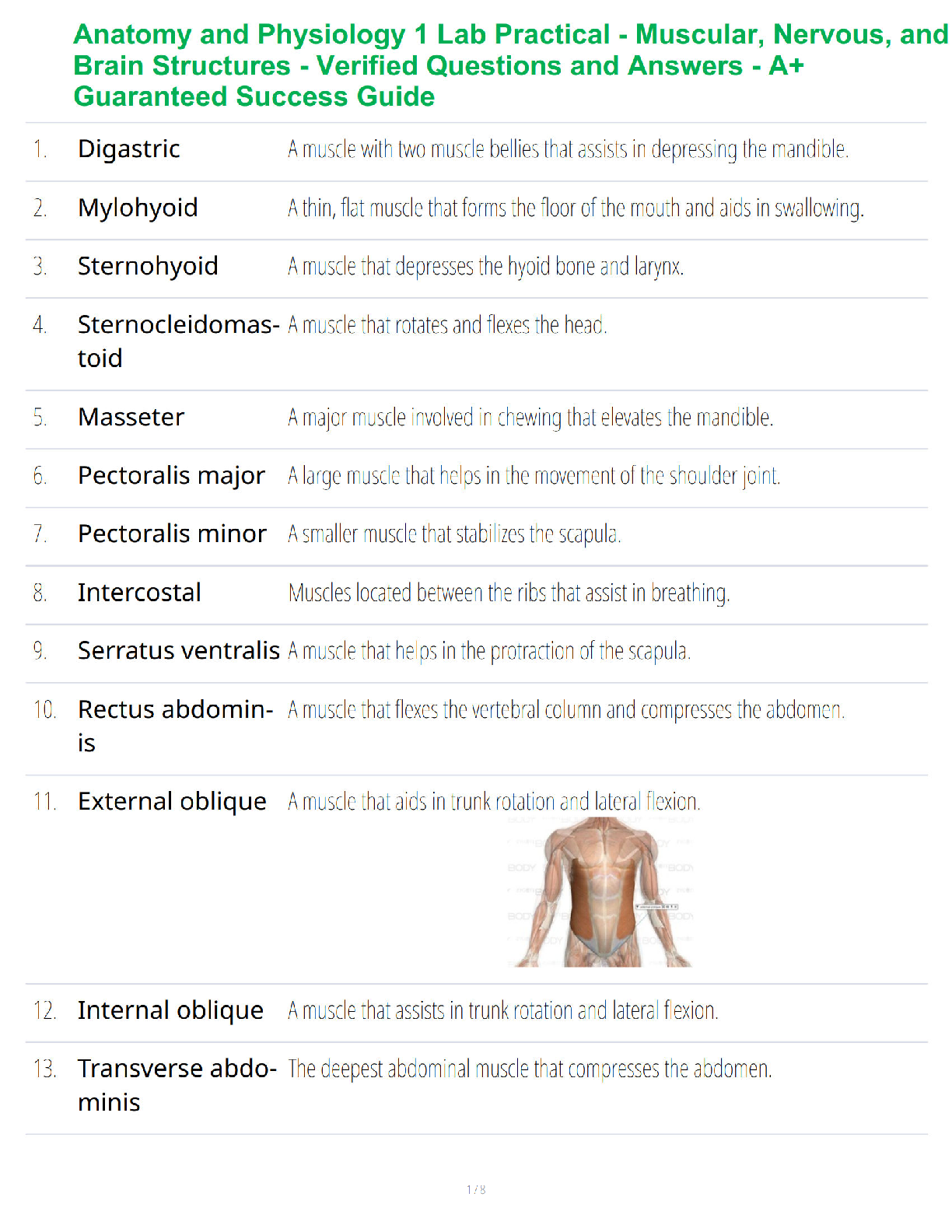 Anatomy and Physiology 1 Lab Practical - Muscular, Nervous, and Brain Structures - Verified Questions and Answers - A+ Guaranteed Success Guide