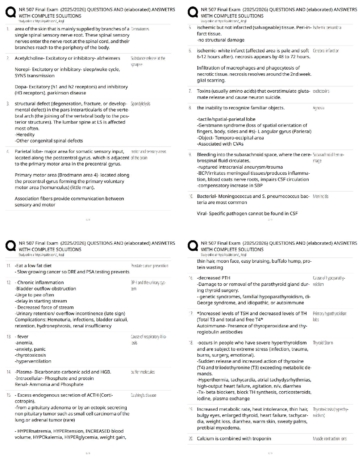 Recommended document preview for NR 507 Advanced Pathophysiology Final Exam (2025–2026) Questions & Answers / Score 100% / New Version Update