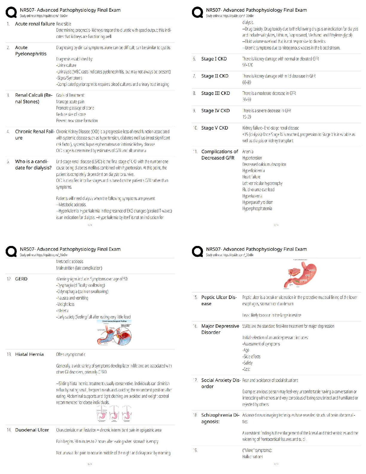 Recommended document preview for NR507 Advanced Pathophysiology Final Exam Questions & Answers / Score 100% / Latest 2025–2026 Update