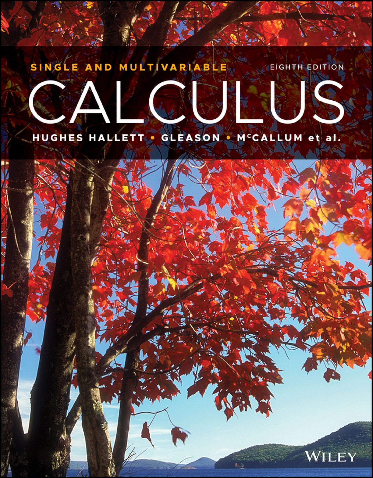 Recommended document preview for eBook [PDF] Calculus Single and Multivariable 8th Edition By Deborah Hughes-Hallett, William G. McCallum