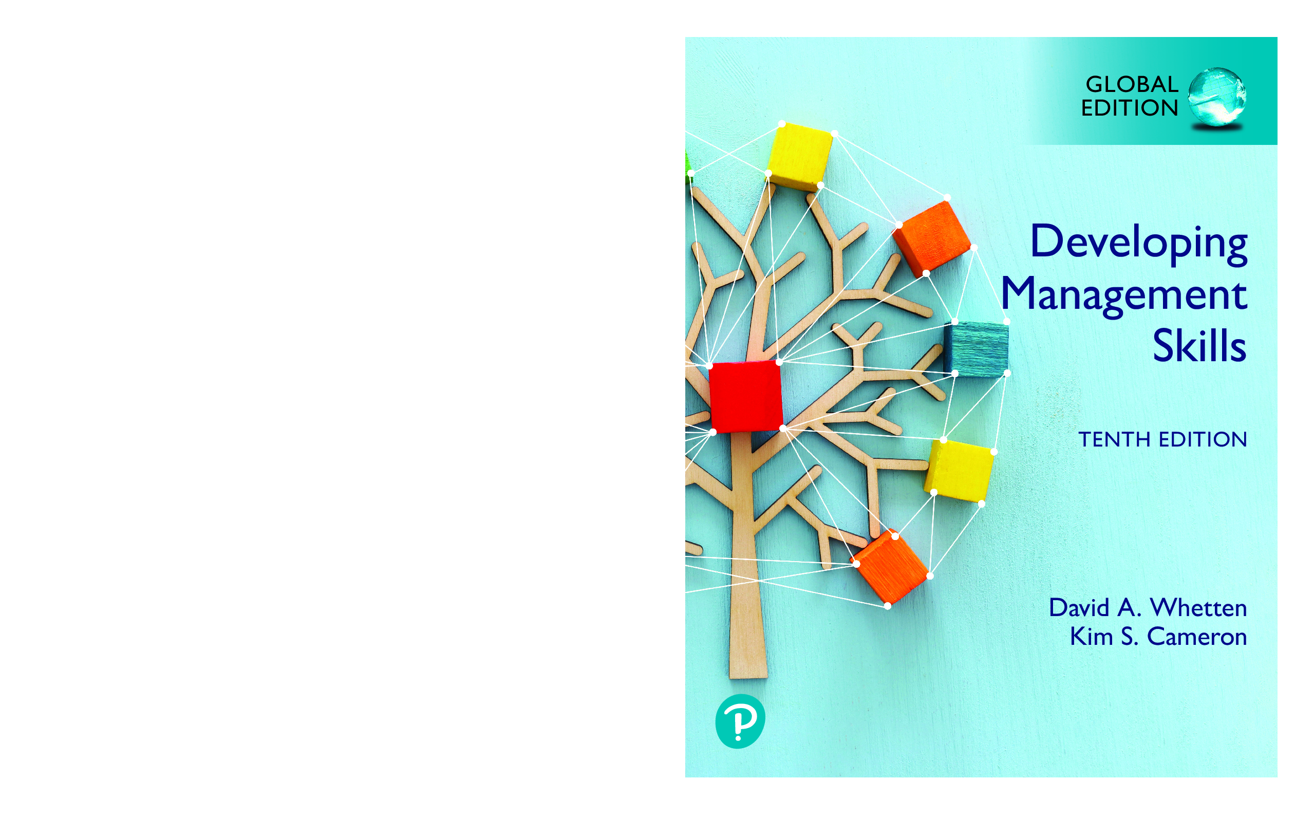 Recommended document preview for eBook [PDF] Developing Management Skills 10th Global Edition By David A Whetten and Kim S_ Cameron