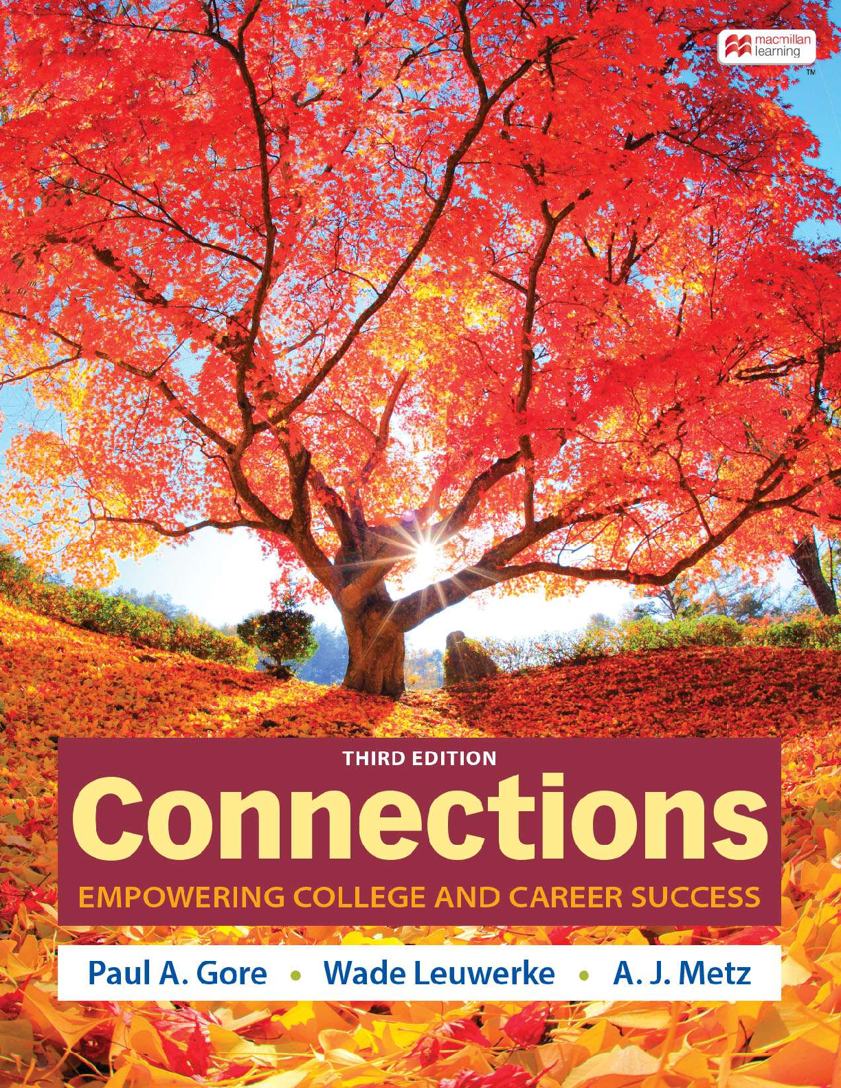 Recommended document preview for Connections Empowering College and Career Success 3rd Edition By Paul Gore, Wade Leuwerke, Metz eBook PDF