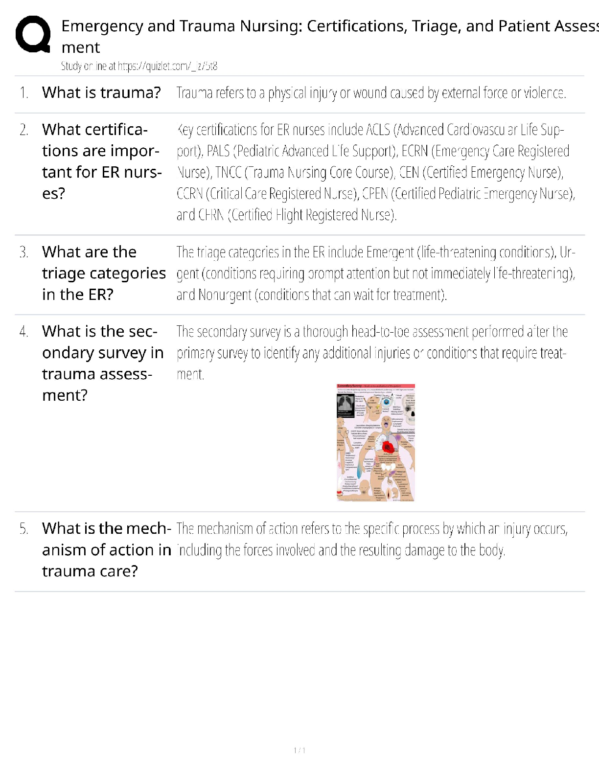 Preview of Emergency Trauma Nursing Certifications / Score 100% / New Version / 2025 Update
