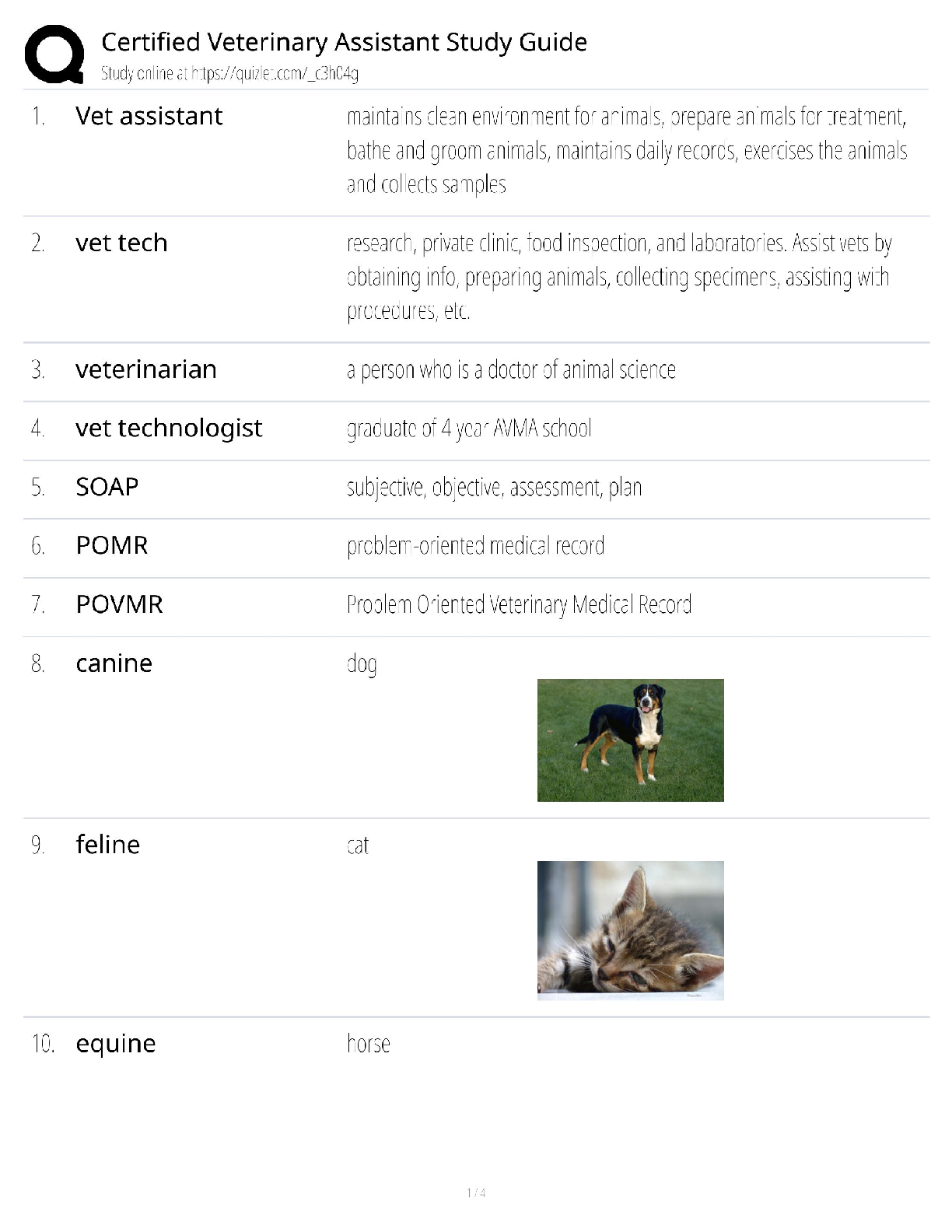 Recommended document preview for Certified Veterinary Assistant Study Guide / Score 100% / New Version / 2025 Update