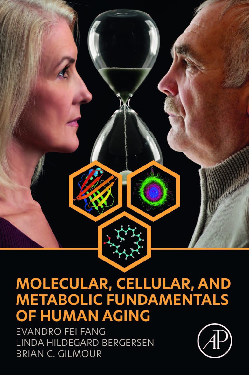 Recommended document preview for eBook PDF Molecular Cellular and Metabolic Fundamentals of Human Aging 1st Edition By Evandro Fei Fang, Linda Hildegard Bergersen, Brian Gilmour