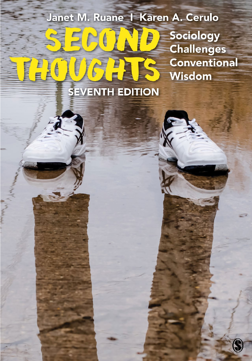 Preview of Second Thoughts Sociology Challenges Conventional Wisdom 7th Edition By Janet Ruane, Karen